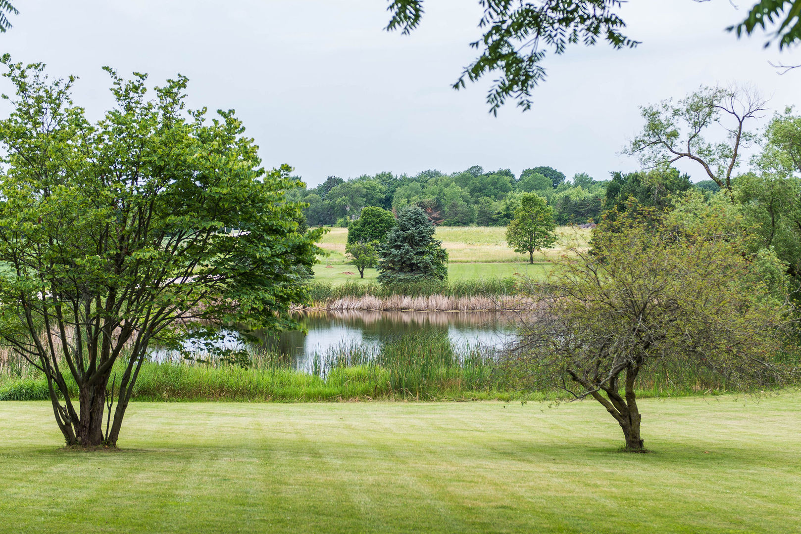 16045 Whipple Road Sycamore, IL 60178 - Photo 5 of 60