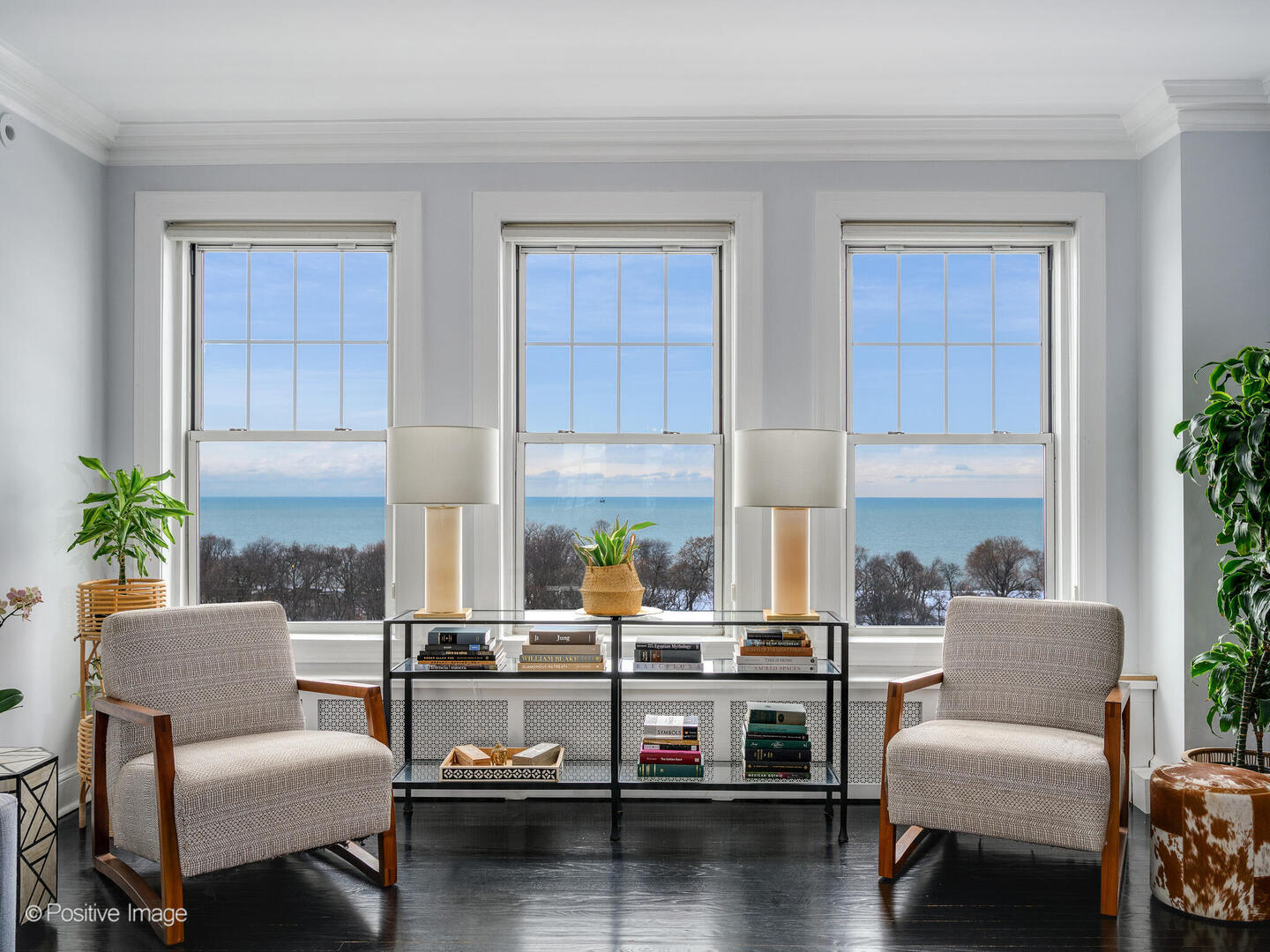 3530 North Lake Shore Drive, Unit 11B Chicago, IL 60657 - Photo 4 of 24 a living room with furniture and a potted plant
