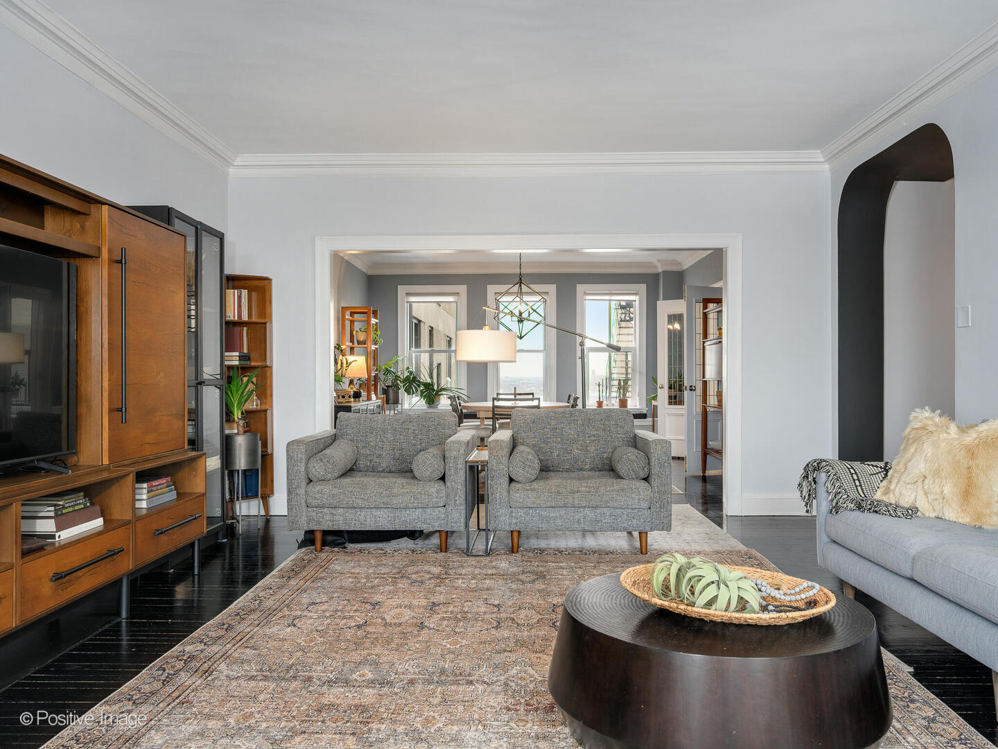 3530 North Lake Shore Drive, Unit 11B Chicago, IL 60657 - Photo 6 of 24 a living room with furniture and a flat screen tv
