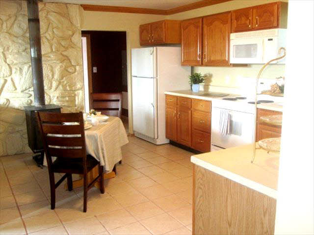 7375 Geiger Road Temperance, MI 48182 - Photo 7 of 20 Kitchen/Woodstove