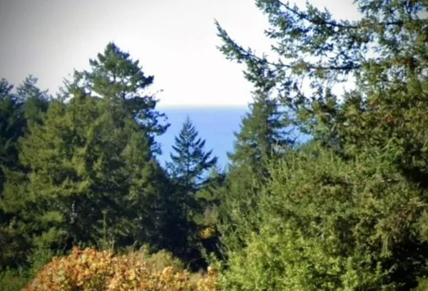 $9,999 | 146 Spring Road, Shelter Cove, CA 95589