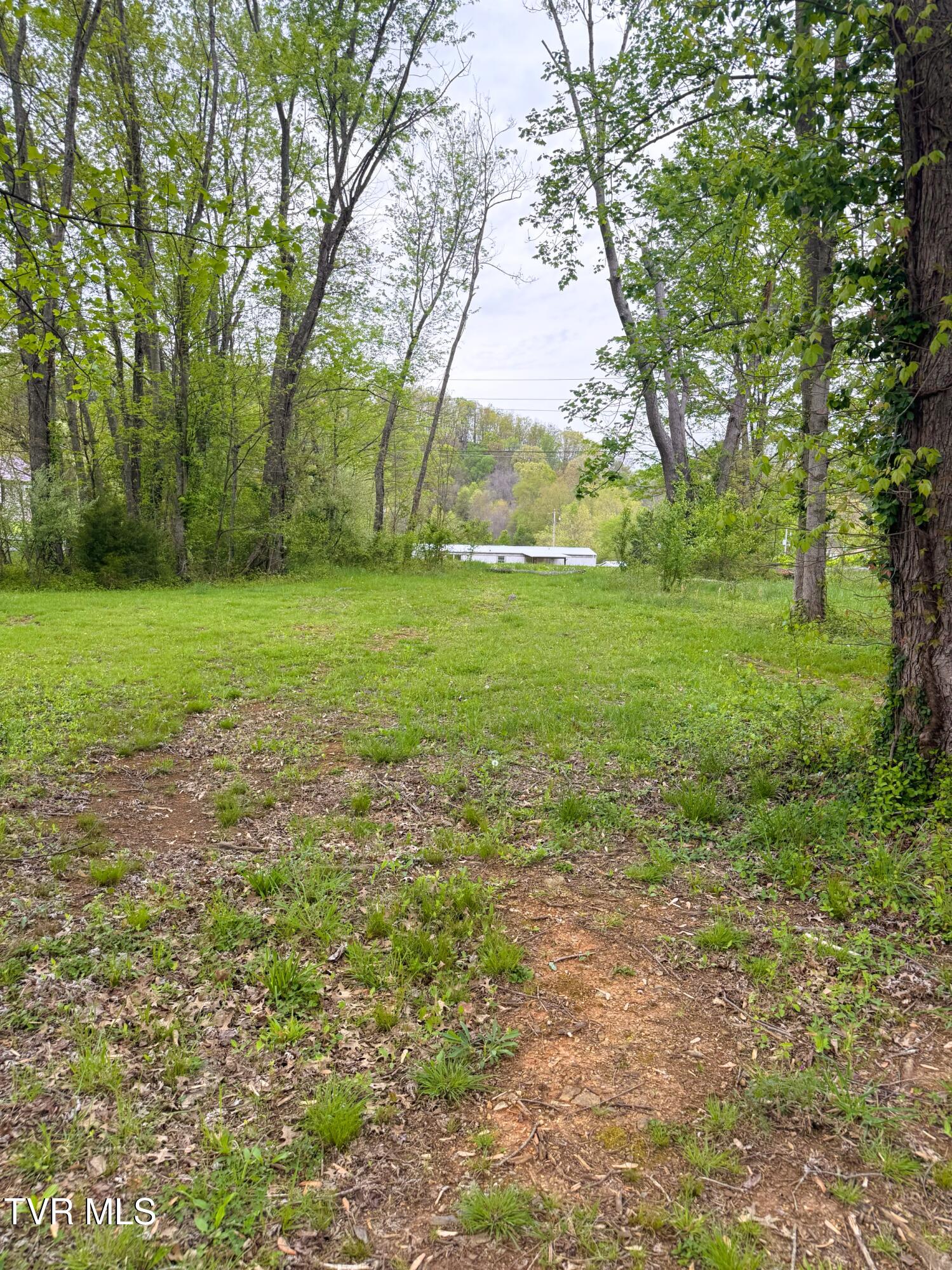 116 Tranbarger Road Church Hill, TN 37642 - Photo 13 of 37 116TranbargerRd13