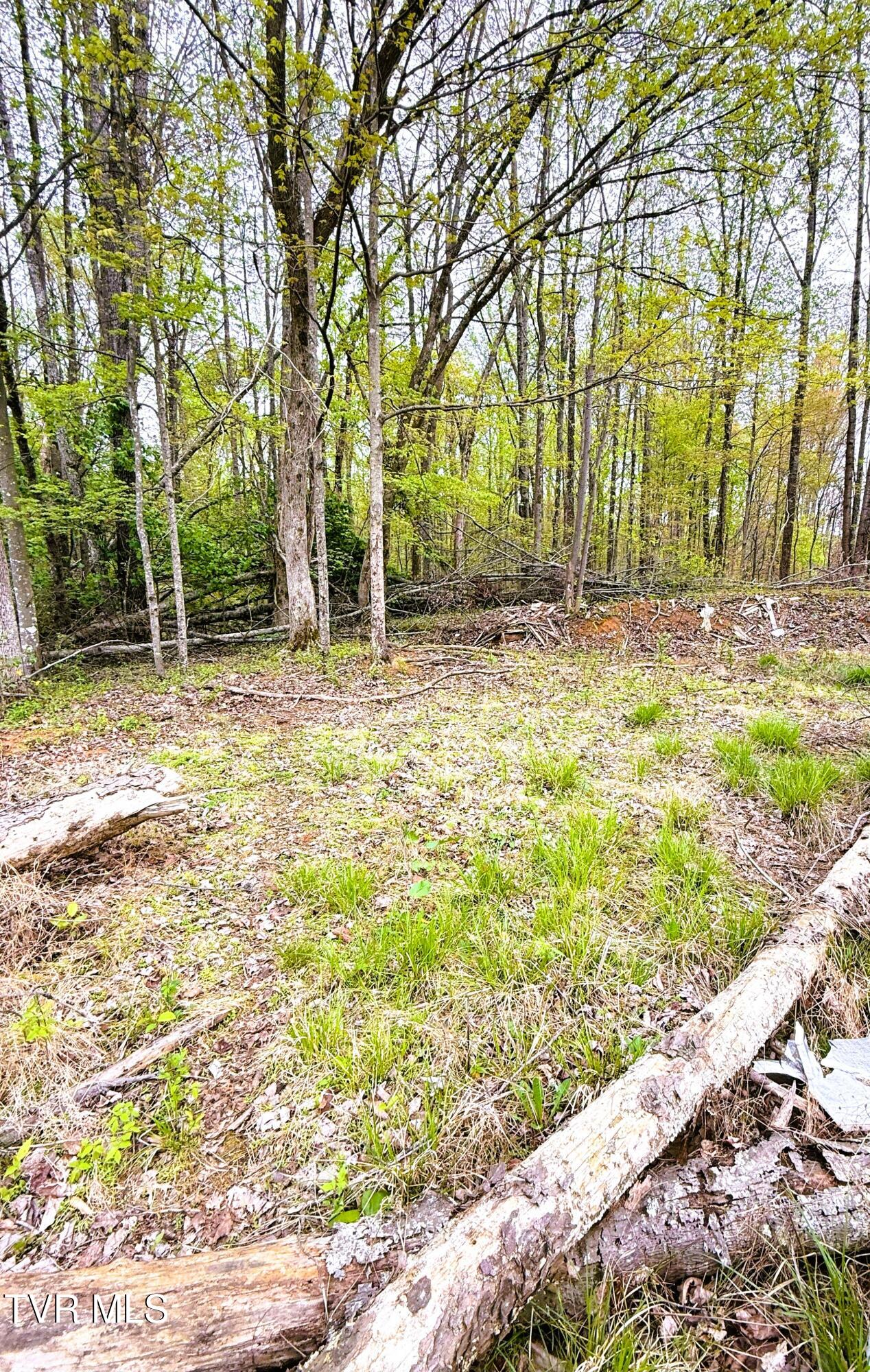 116 Tranbarger Road Church Hill, TN 37642 - Photo 16 of 37 116TranbargerRd19