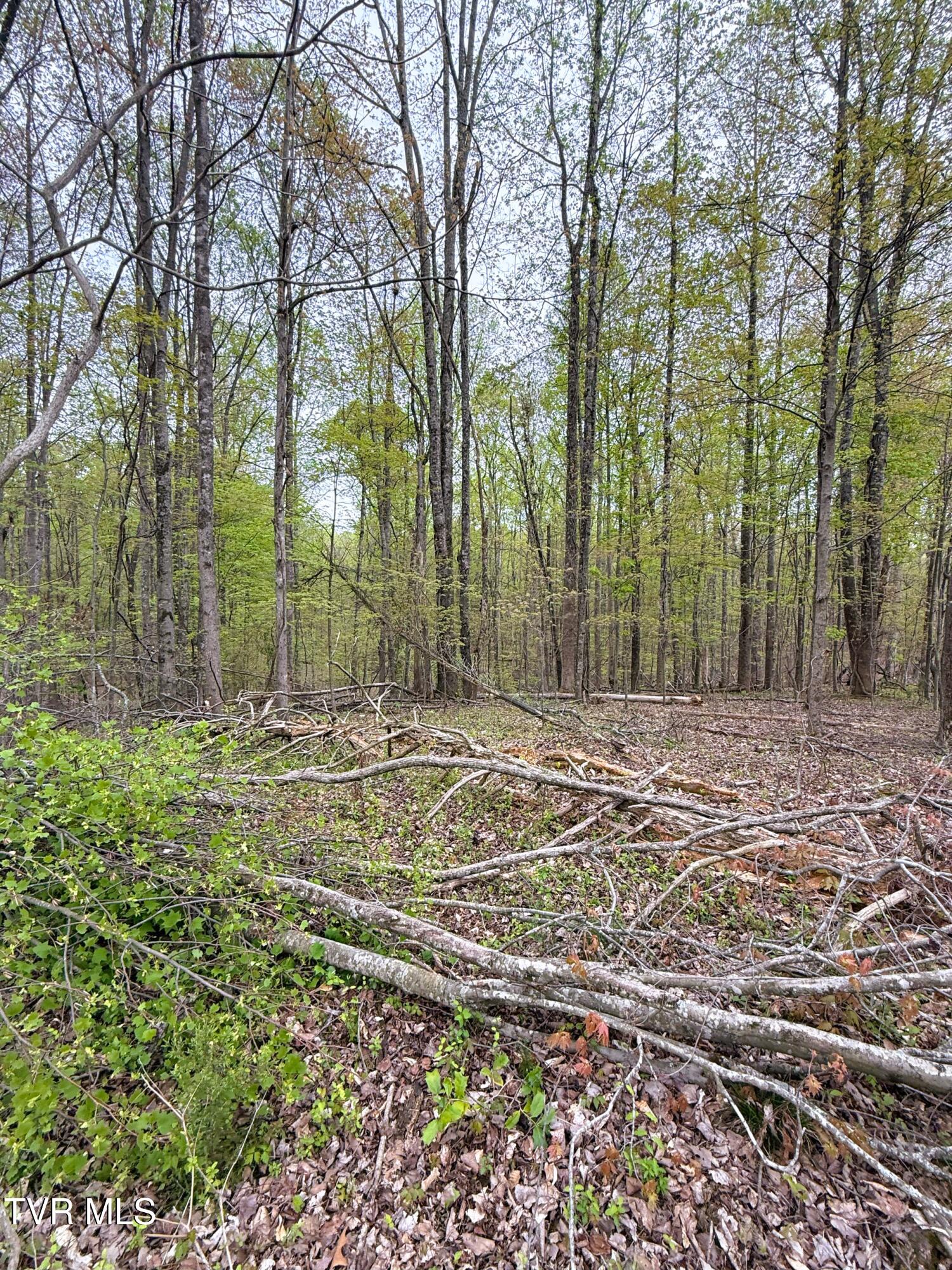 116 Tranbarger Road Church Hill, TN 37642 - Photo 17 of 37 116TranbargerRd24