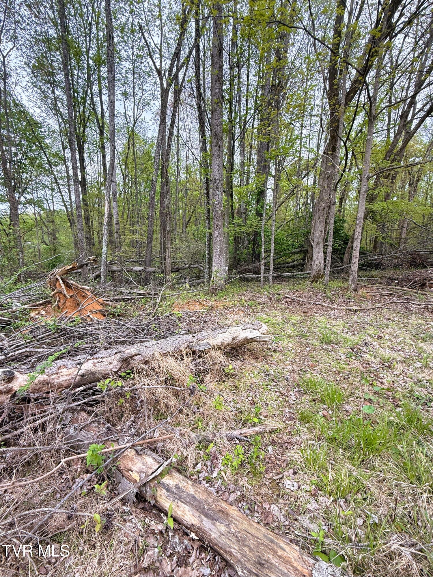 116 Tranbarger Road Church Hill, TN 37642 - Photo 18 of 37 116TranbargerRd20