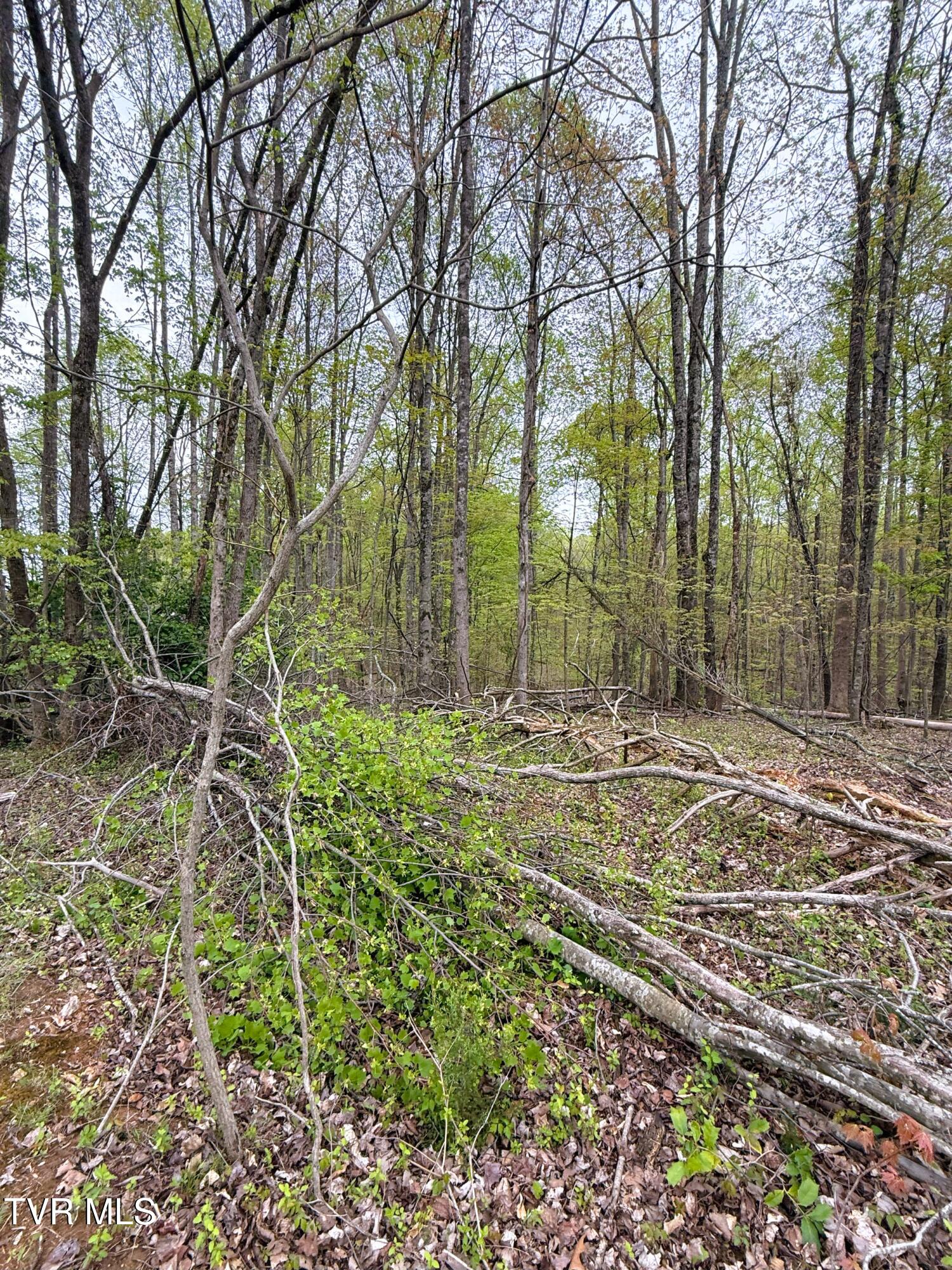 116 Tranbarger Road Church Hill, TN 37642 - Photo 19 of 37 116TranbargerRd25