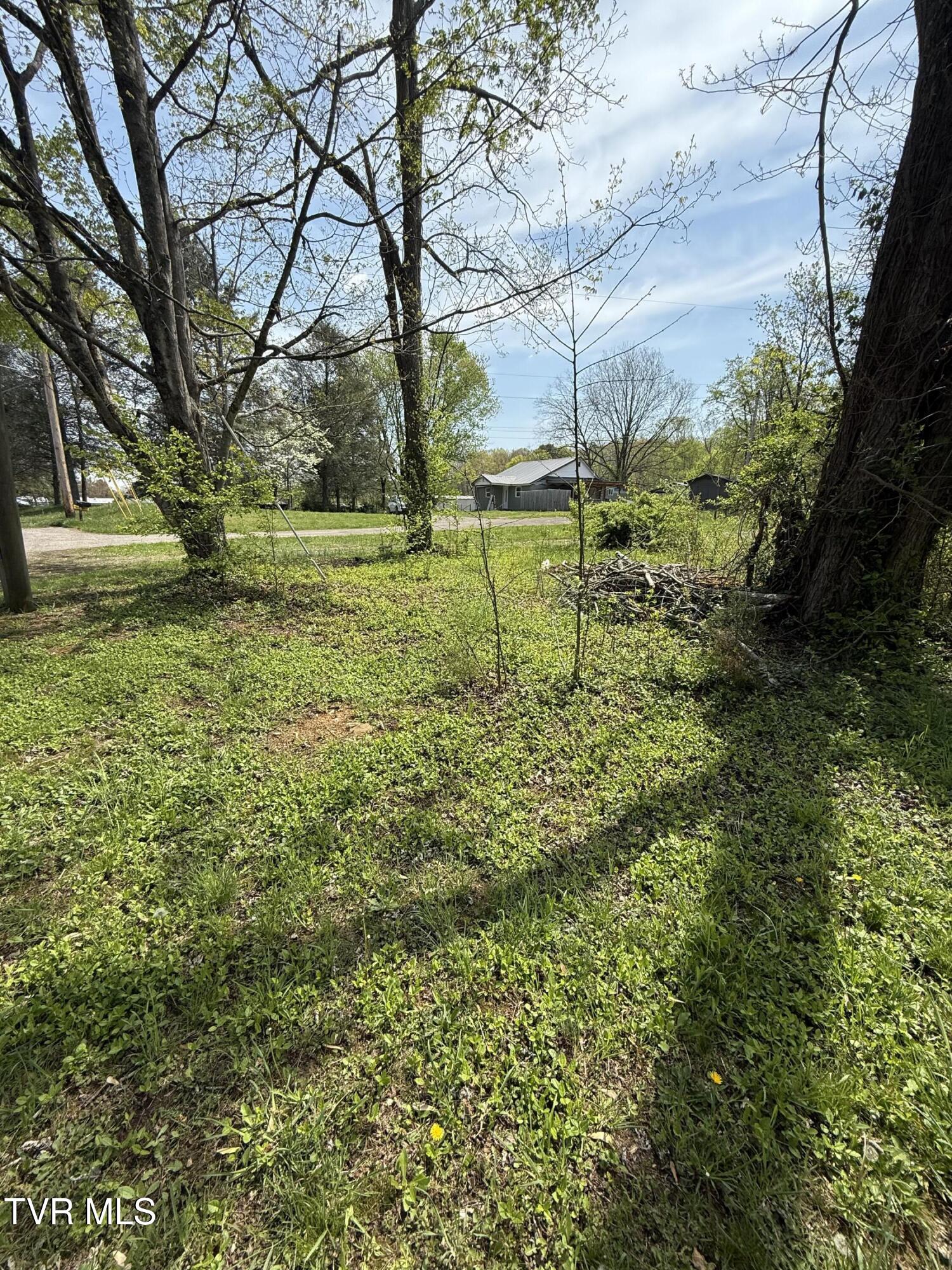 116 Tranbarger Road Church Hill, TN 37642 - Photo 2 of 37 116TranbargerRd2