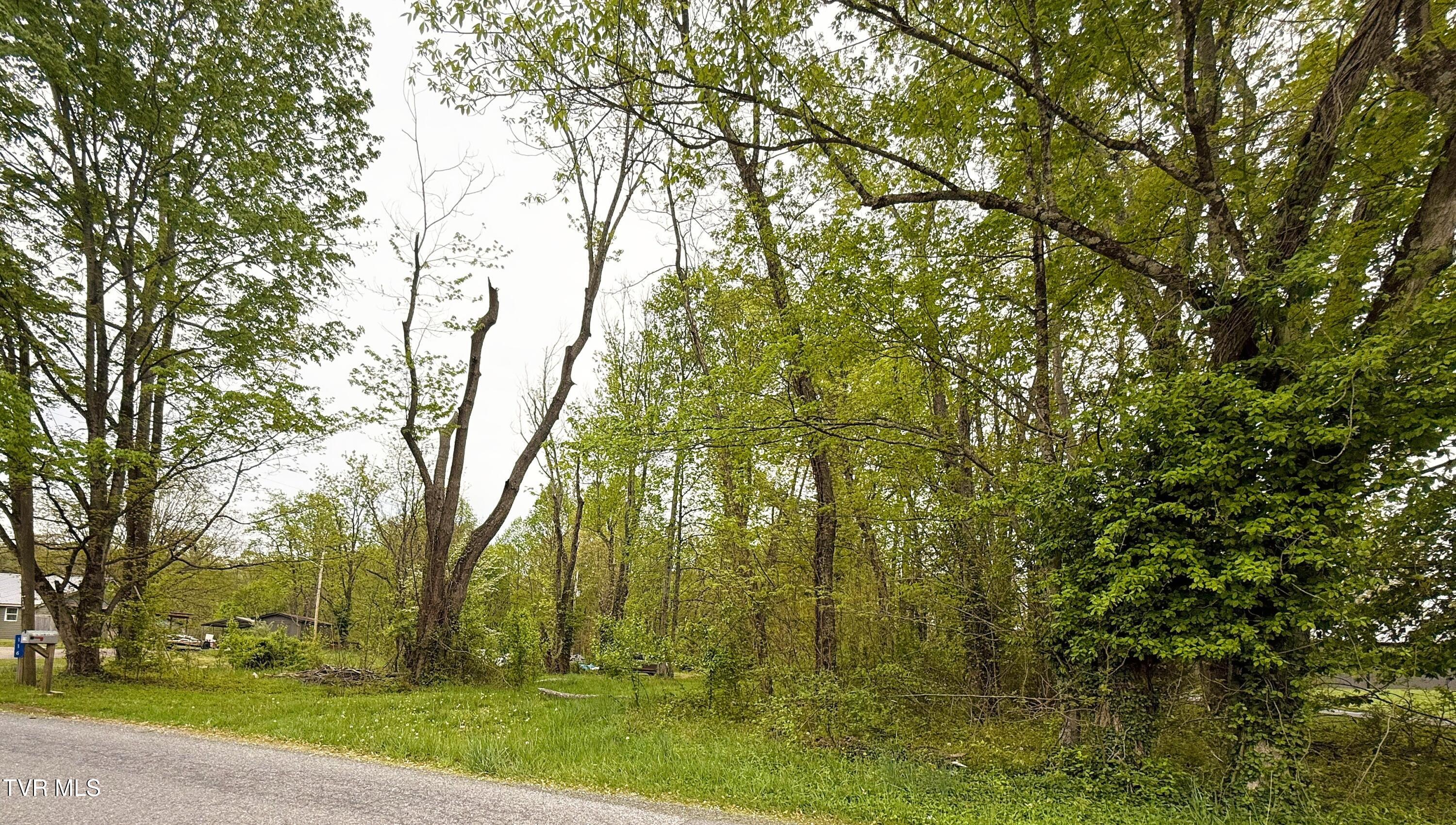 116 Tranbarger Road Church Hill, TN 37642 - Photo 21 of 37 116TranbargerRd26