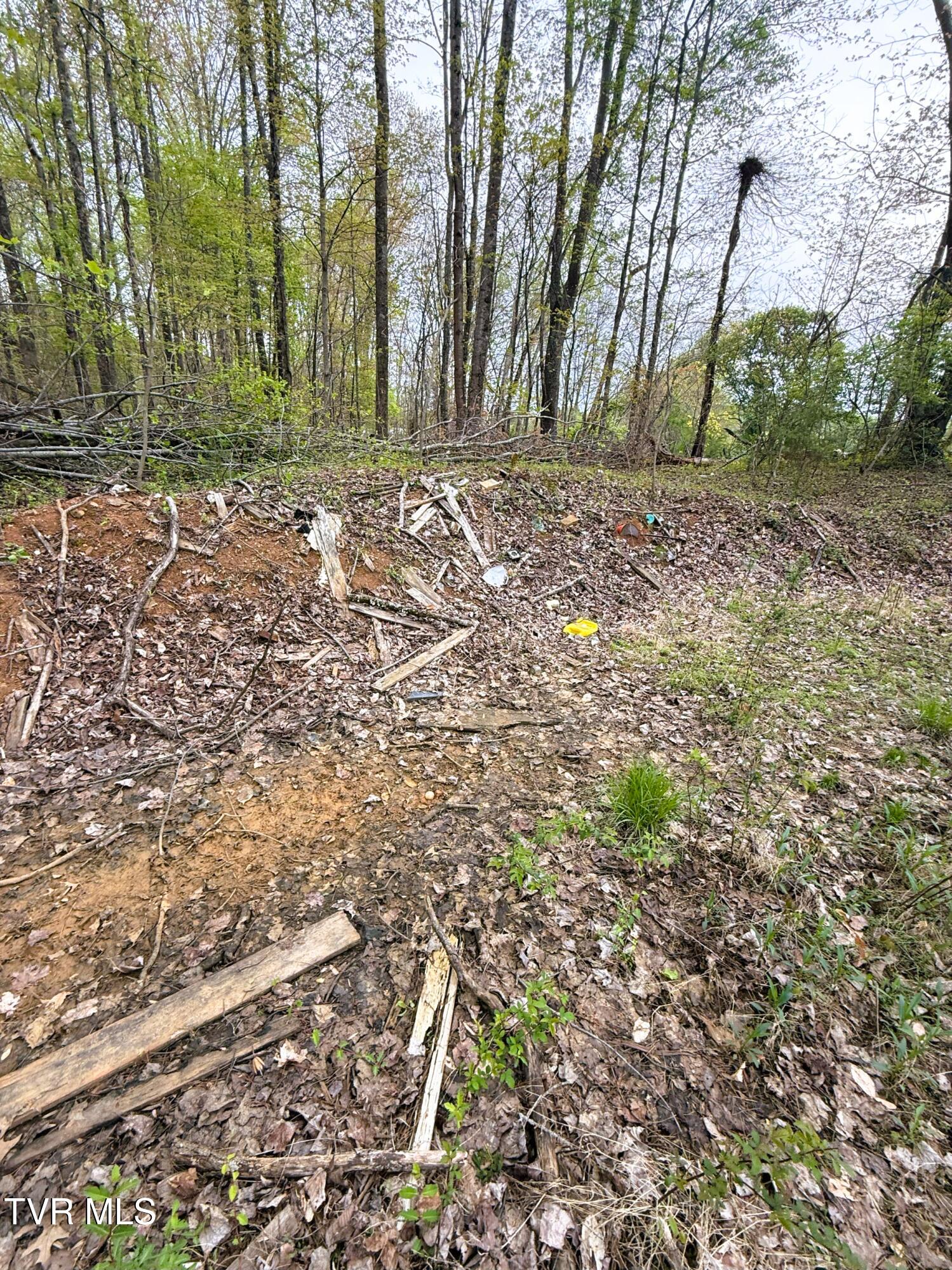 116 Tranbarger Road Church Hill, TN 37642 - Photo 22 of 37 116TranbargerRd22