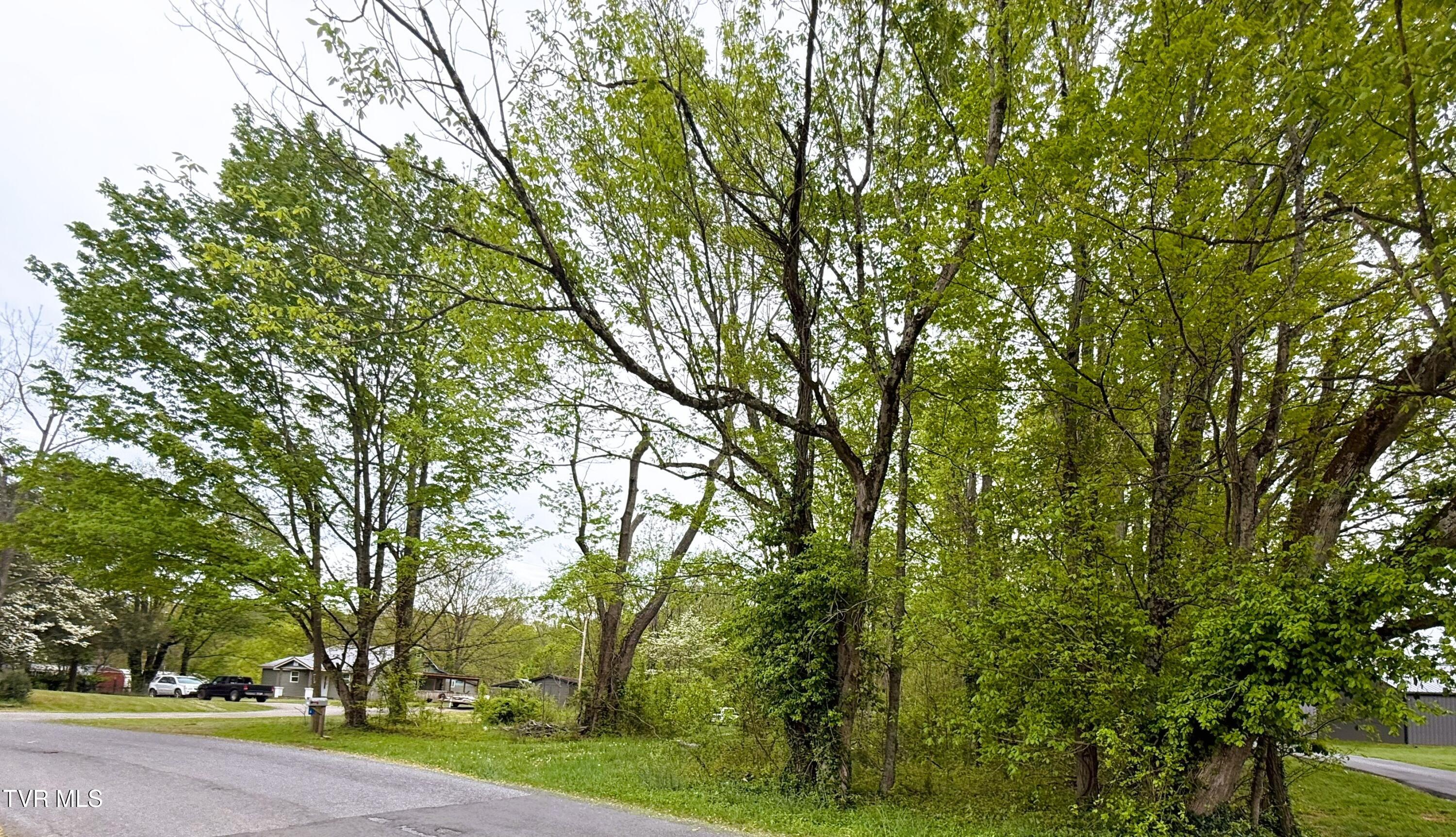 116 Tranbarger Road Church Hill, TN 37642 - Photo 23 of 37 116TranbargerRd27