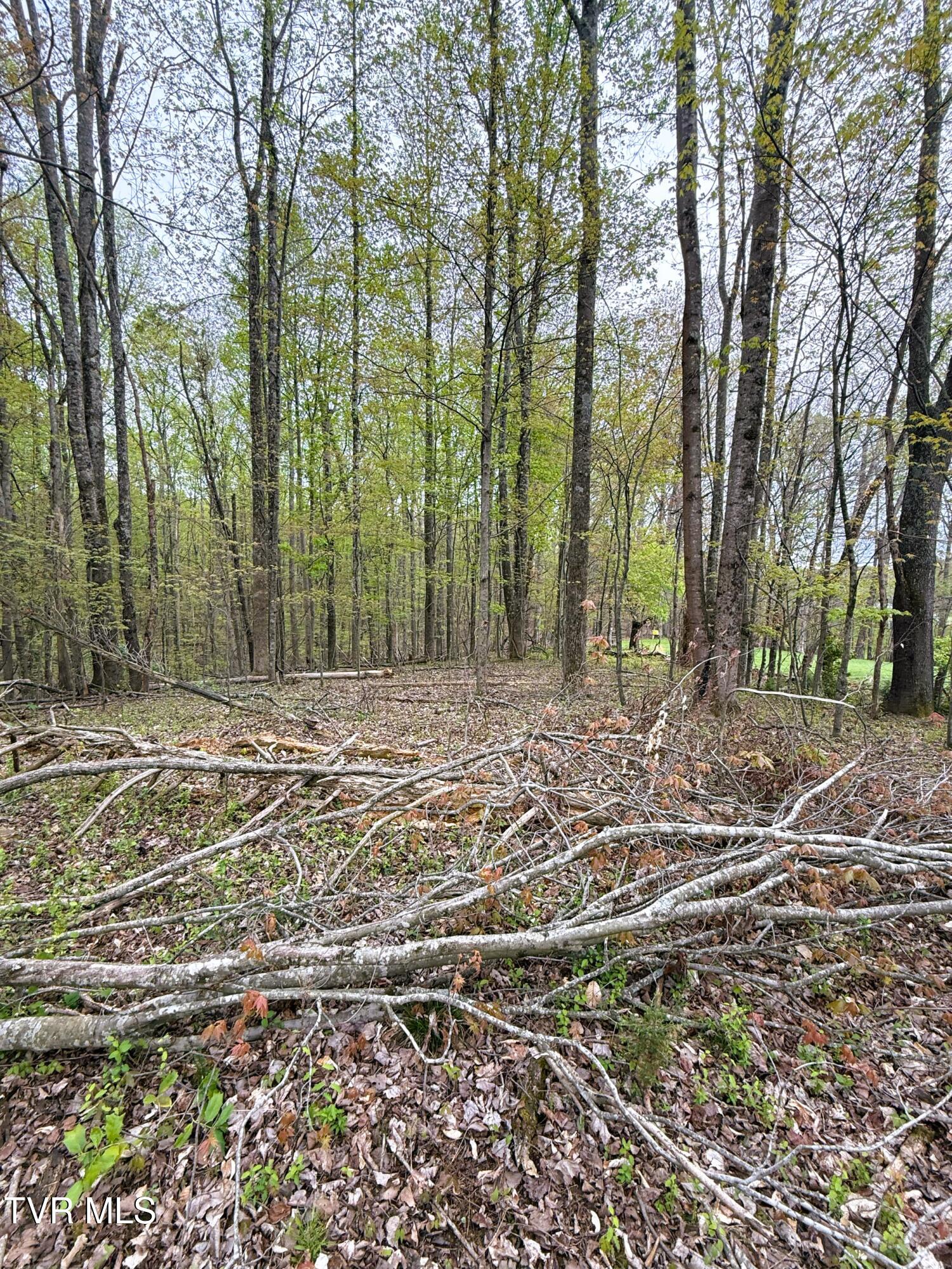 116 Tranbarger Road Church Hill, TN 37642 - Photo 24 of 37 116TranbargerRd23