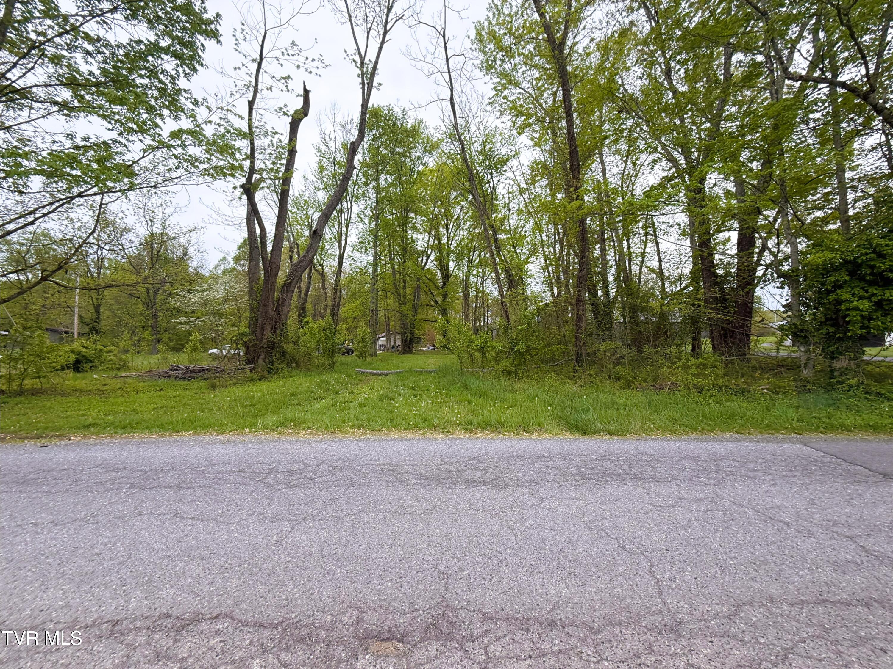 116 Tranbarger Road Church Hill, TN 37642 - Photo 29 of 37 116TranbargerRd28