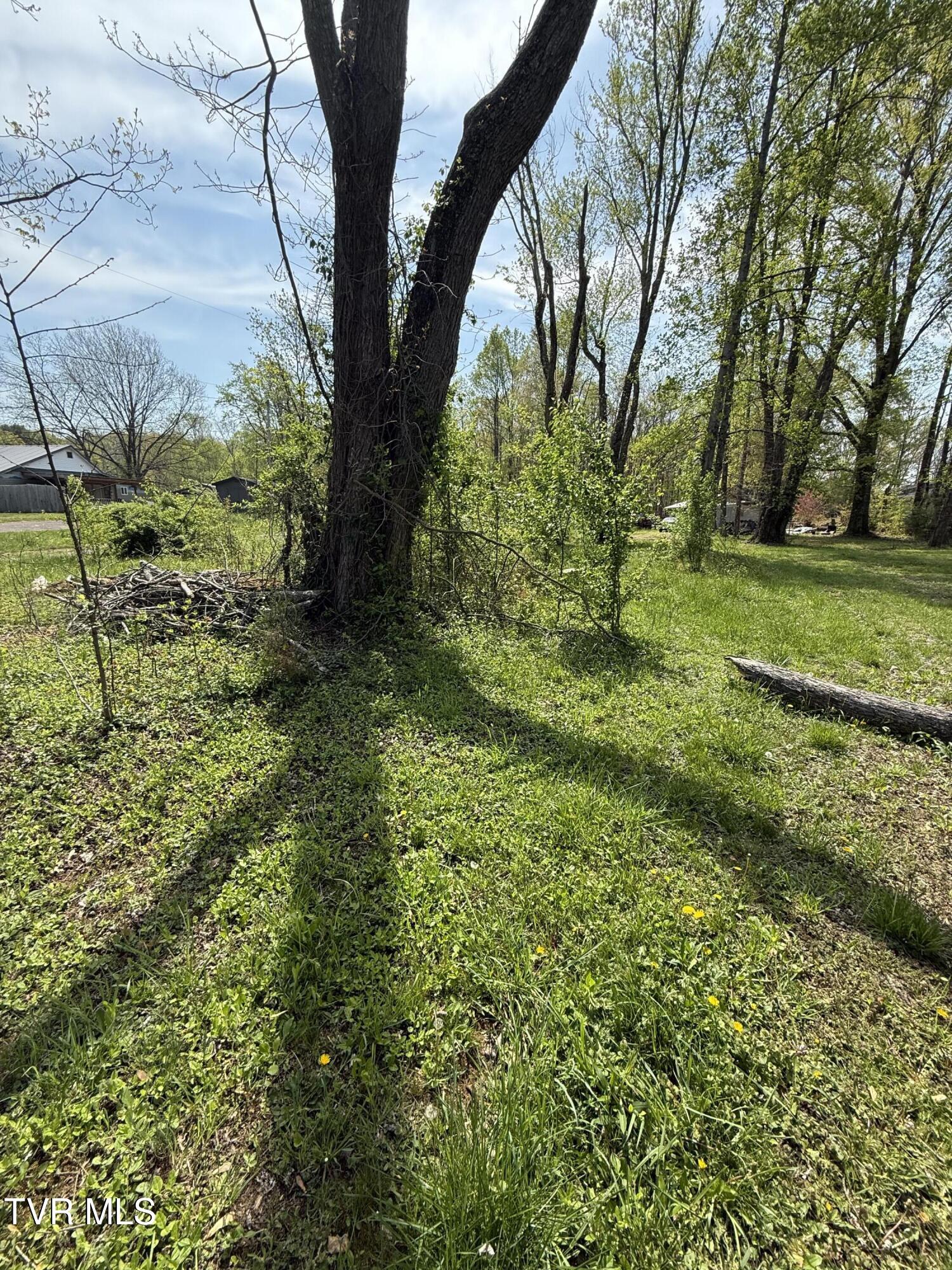 116 Tranbarger Road Church Hill, TN 37642 - Photo 3 of 37 116TranbargerRd3