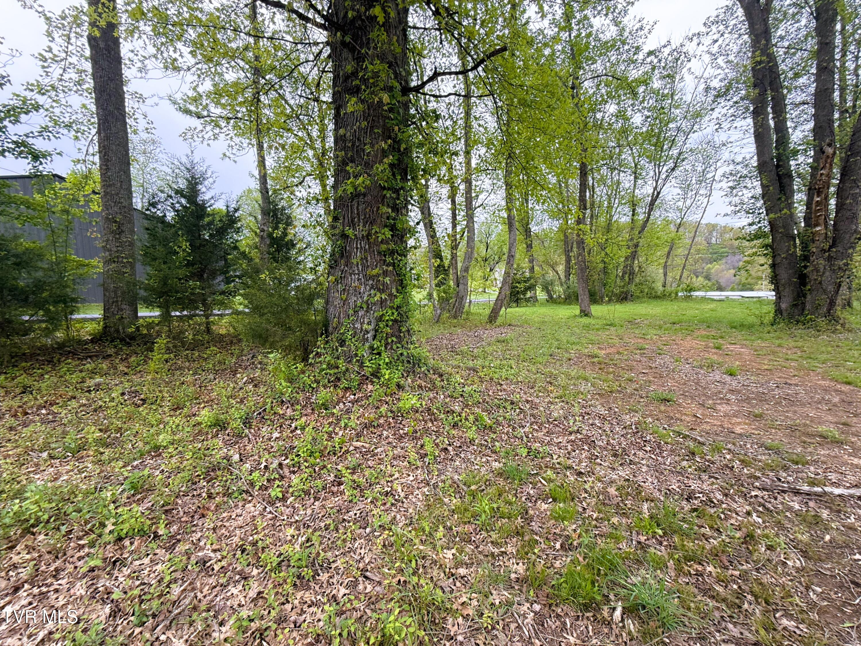 116 Tranbarger Road Church Hill, TN 37642 - Photo 37 of 37 116TranbargerRd38