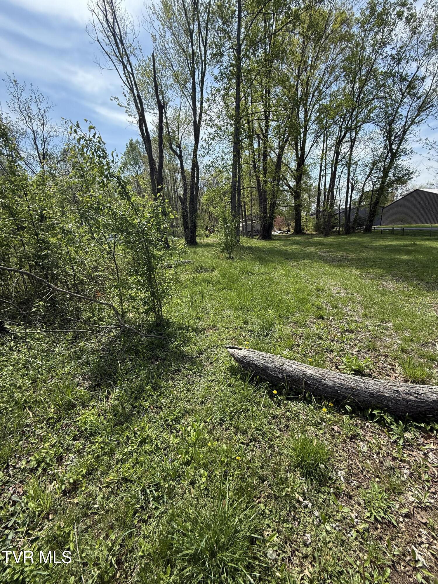 116 Tranbarger Road Church Hill, TN 37642 - Photo 4 of 37 116TranbargerRd4