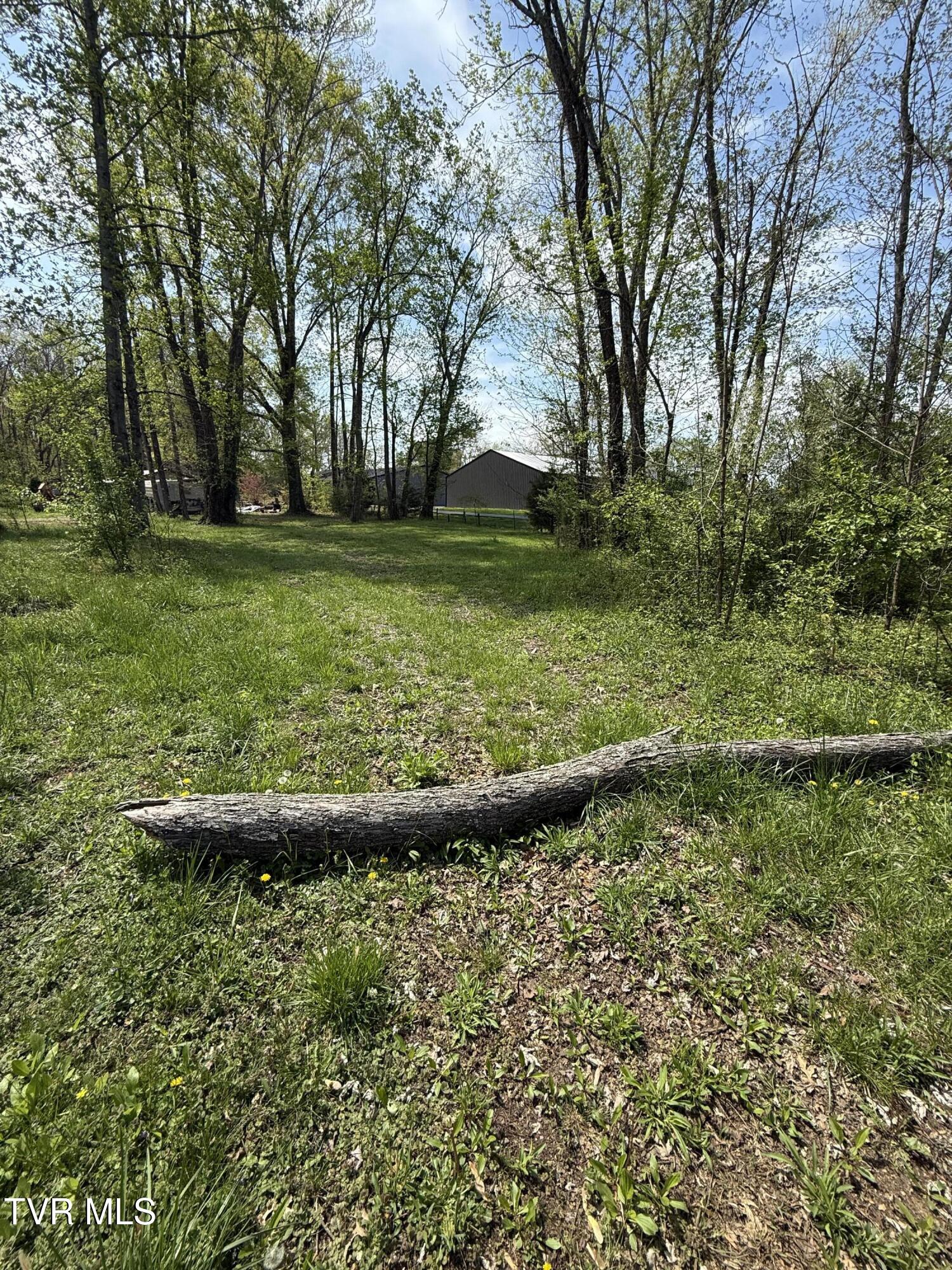 116 Tranbarger Road Church Hill, TN 37642 - Photo 5 of 37 116TranbargerRd5