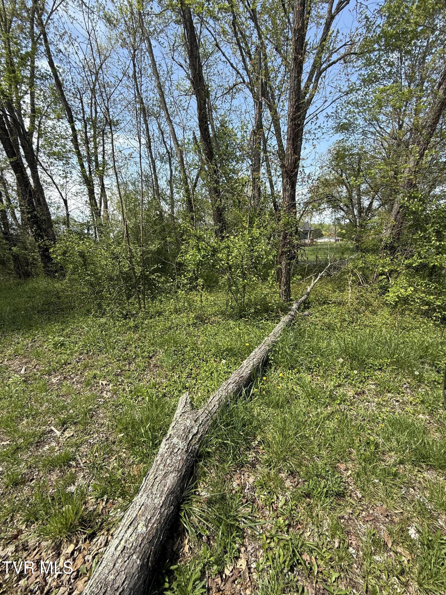 116 Tranbarger Road Church Hill, TN 37642 - Photo 6 of 37 116TranbargerRd6