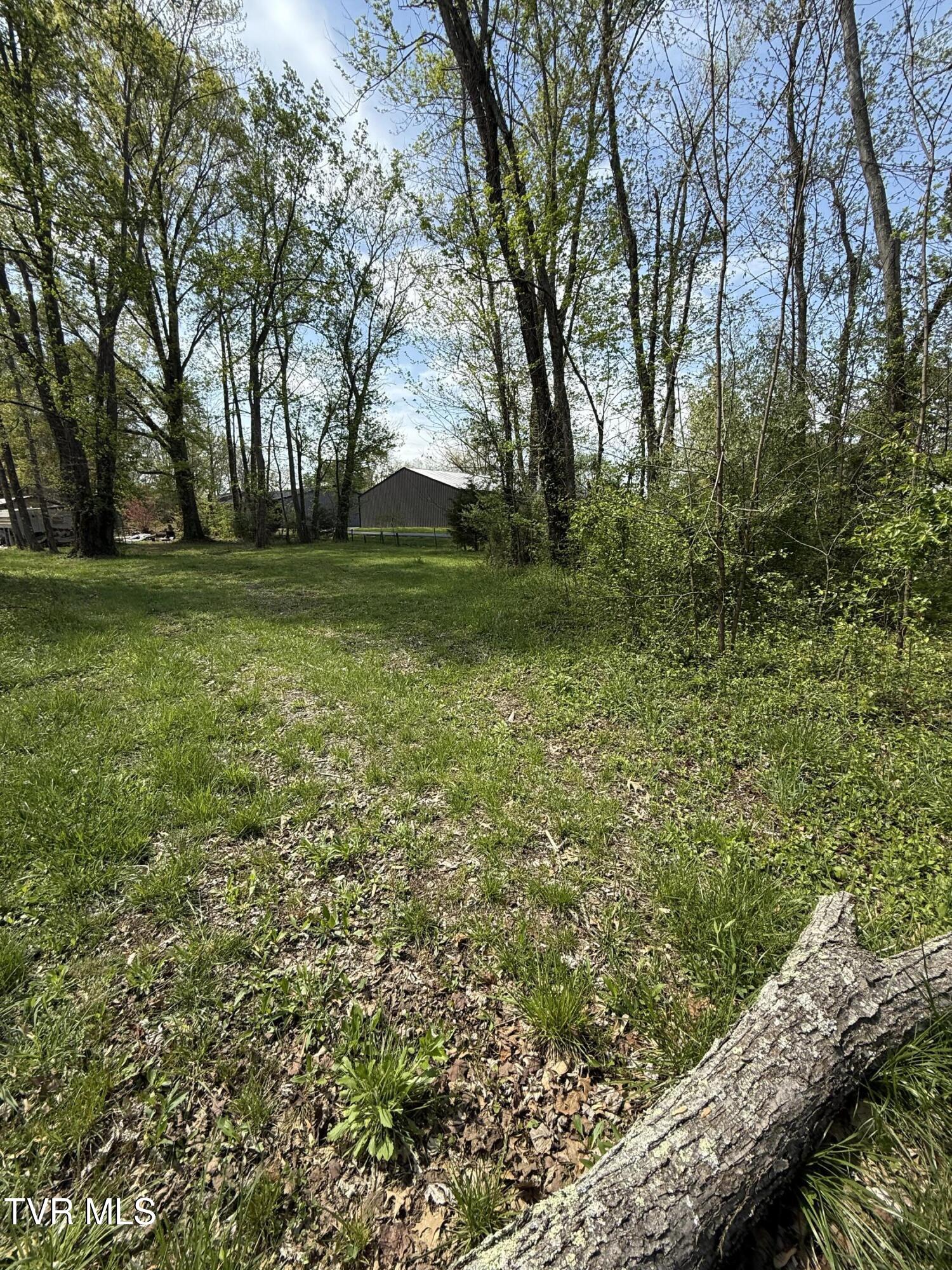 116 Tranbarger Road Church Hill, TN 37642 - Photo 7 of 37 116TranbargerRd7