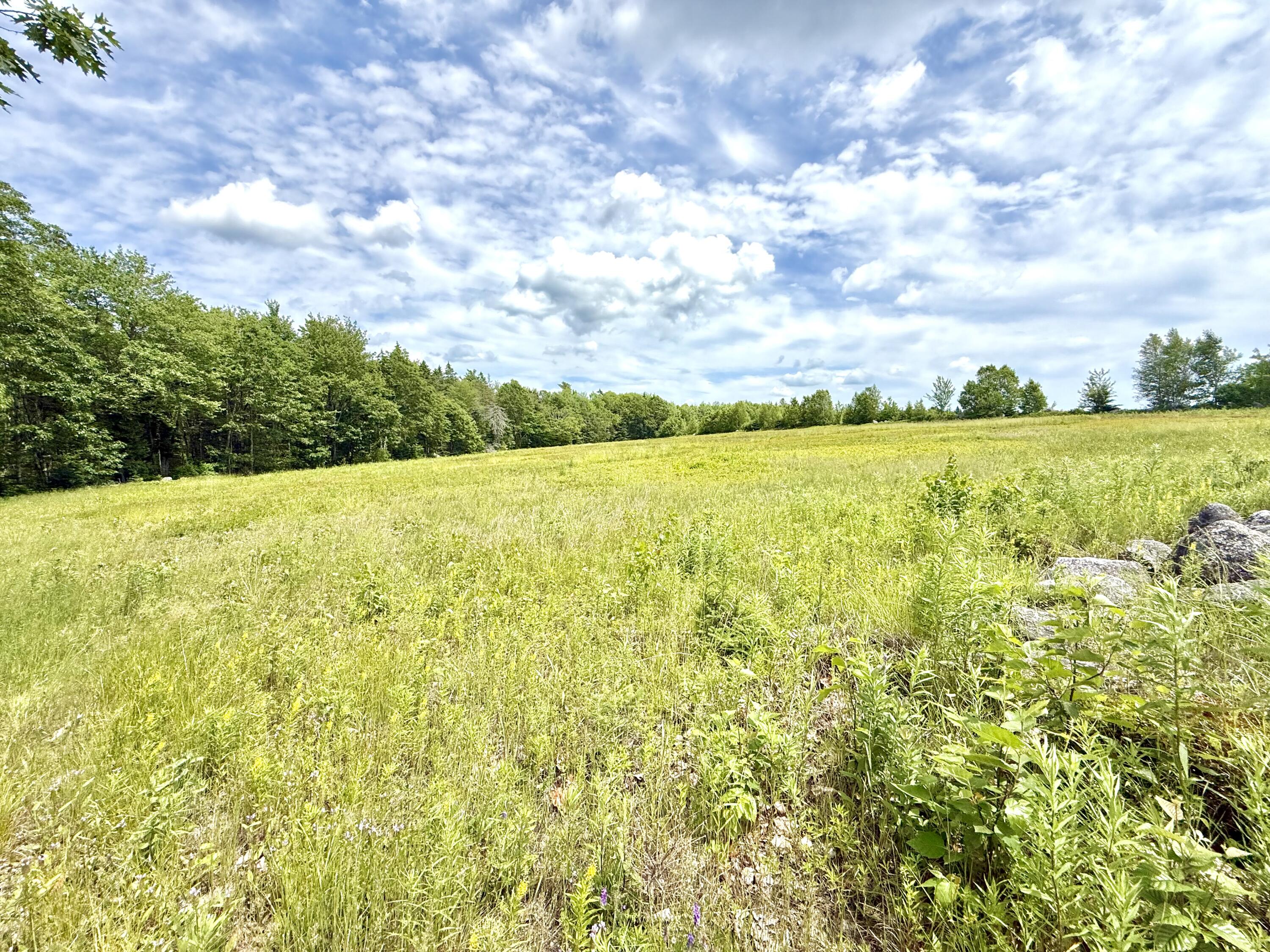 Map13-lot4 Martins Ridge Road Franklin, ME 04634 - Photo 11 of 14 Lot 4