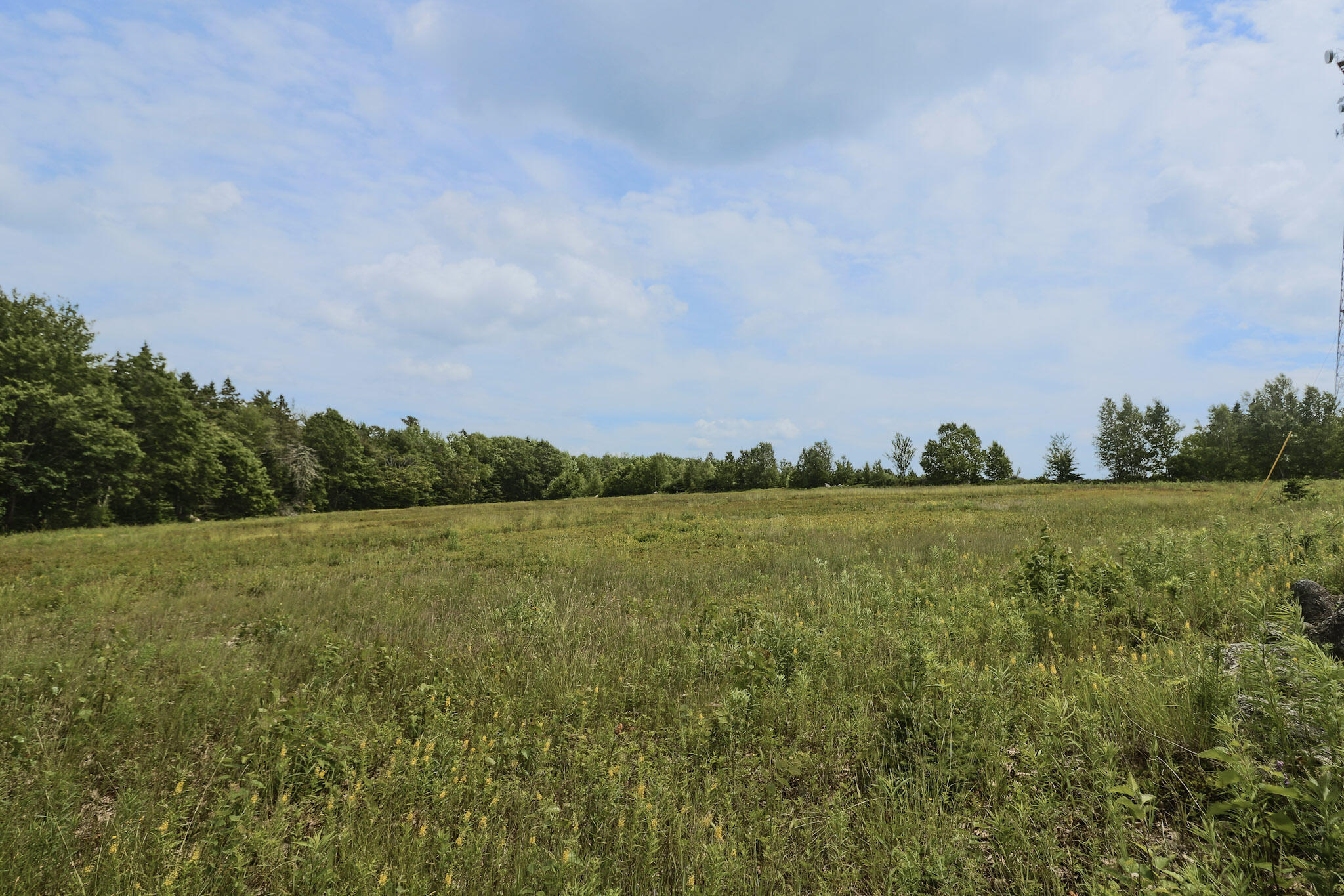 Map13-lot4 Martins Ridge Road Franklin, ME 04634 - Photo 12 of 14 Lot 4