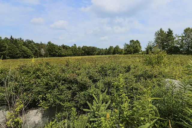 $75,000 | Map13-lot4 Martins Ridge Road, Franklin, ME 04634