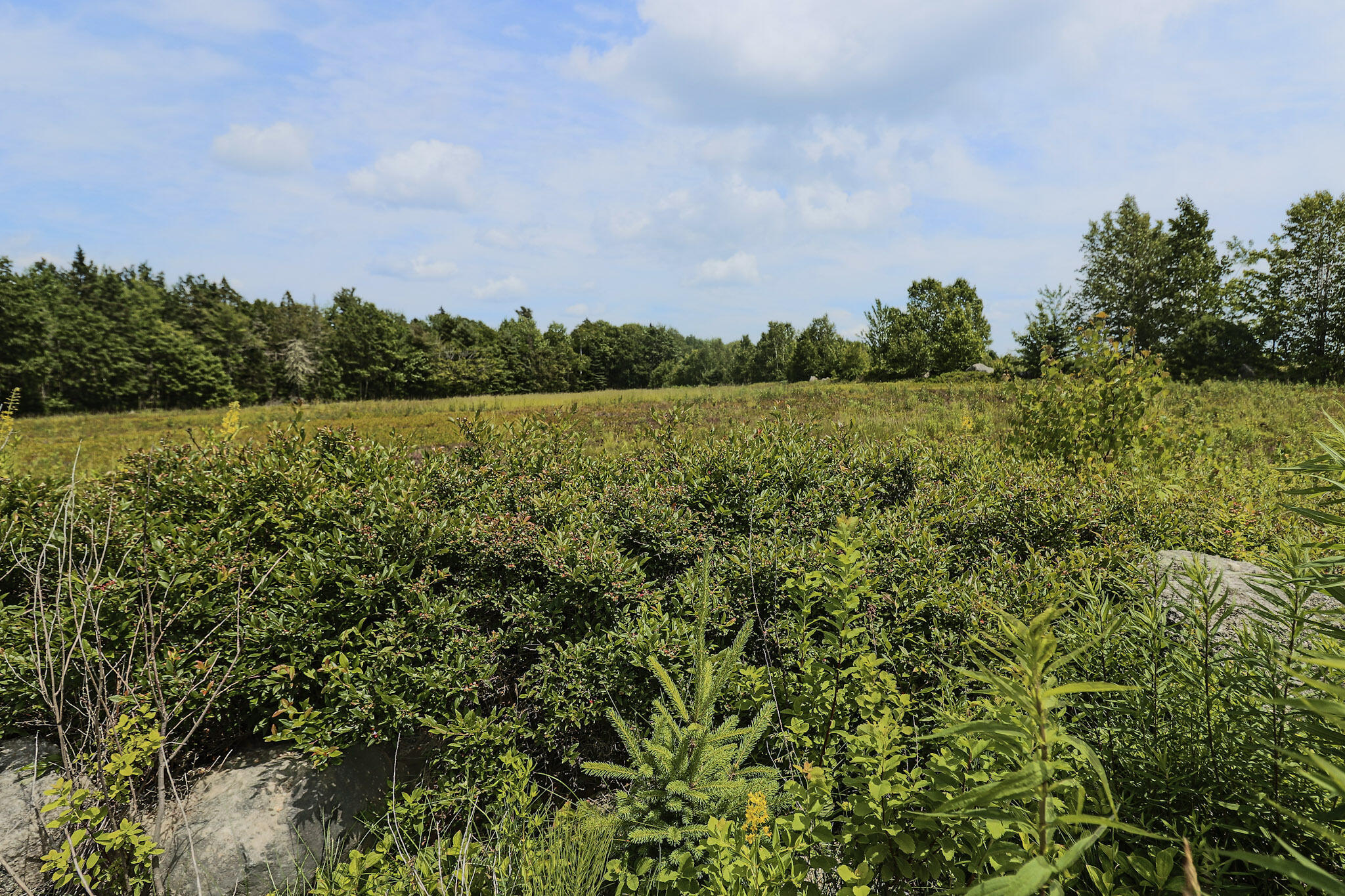 Map13-lot4 Martins Ridge Road Franklin, ME 04634 - Photo 13 of 14 Lot 4