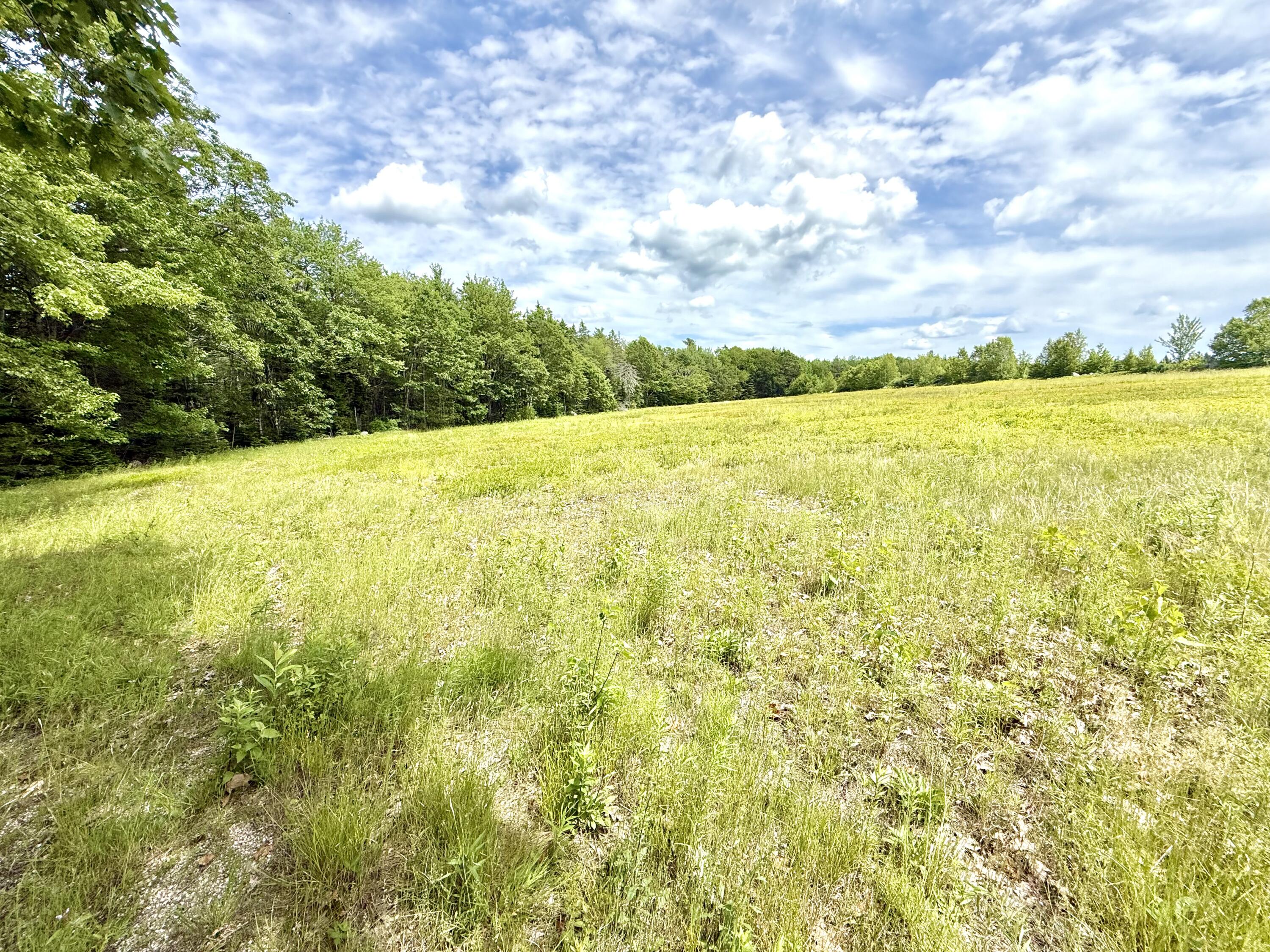 Map13-lot4 Martins Ridge Road Franklin, ME 04634 - Photo 14 of 14 Lot 4