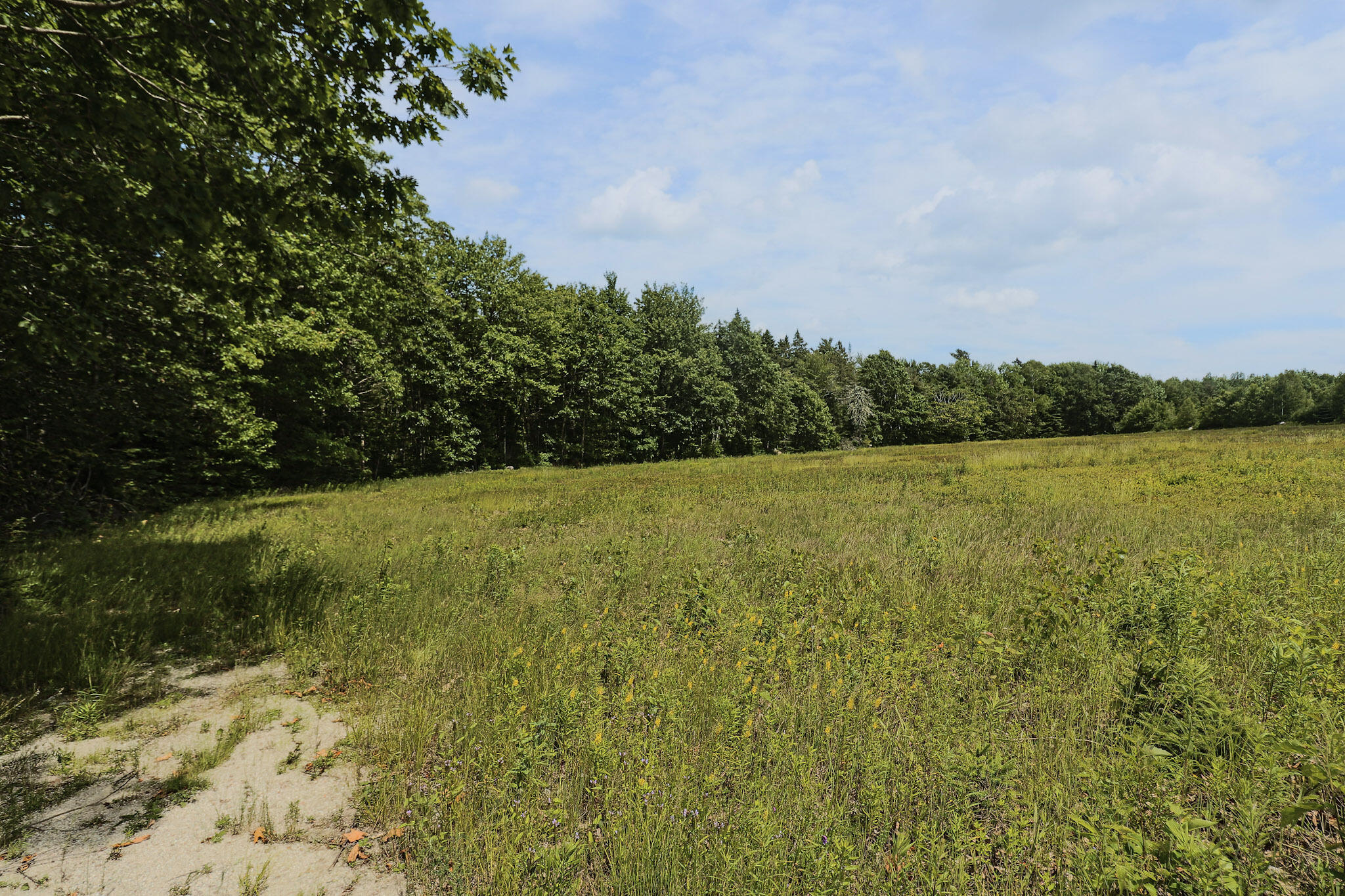 Map13-lot4 Martins Ridge Road Franklin, ME 04634 - Photo 2 of 14 Lot 4