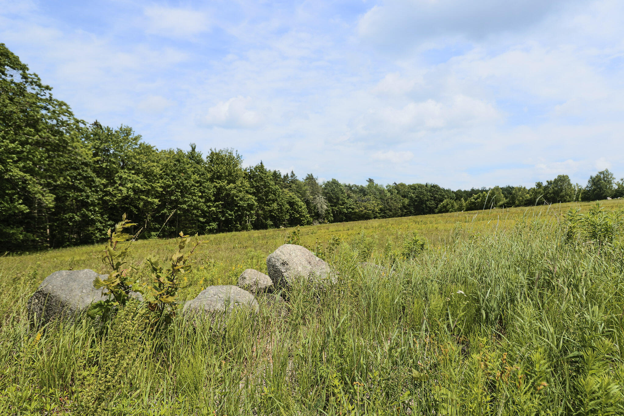 Map13-lot4 Martins Ridge Road Franklin, ME 04634 - Photo 3 of 14 Lot 4