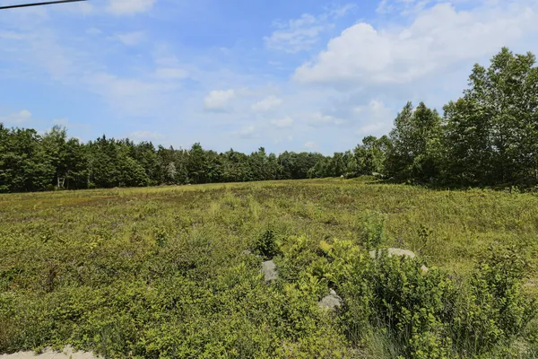 $75,000 | Map13-lot4 Martins Ridge Road, Franklin, ME 04634