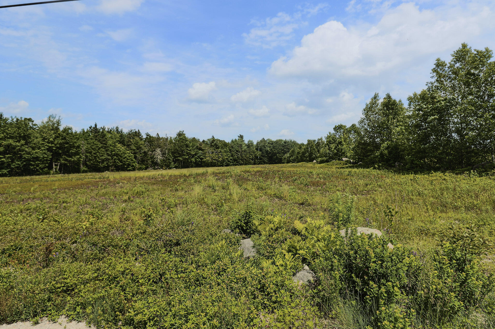 Map13-lot4 Martins Ridge Road Franklin, ME 04634 - Photo 5 of 14 Lot 4