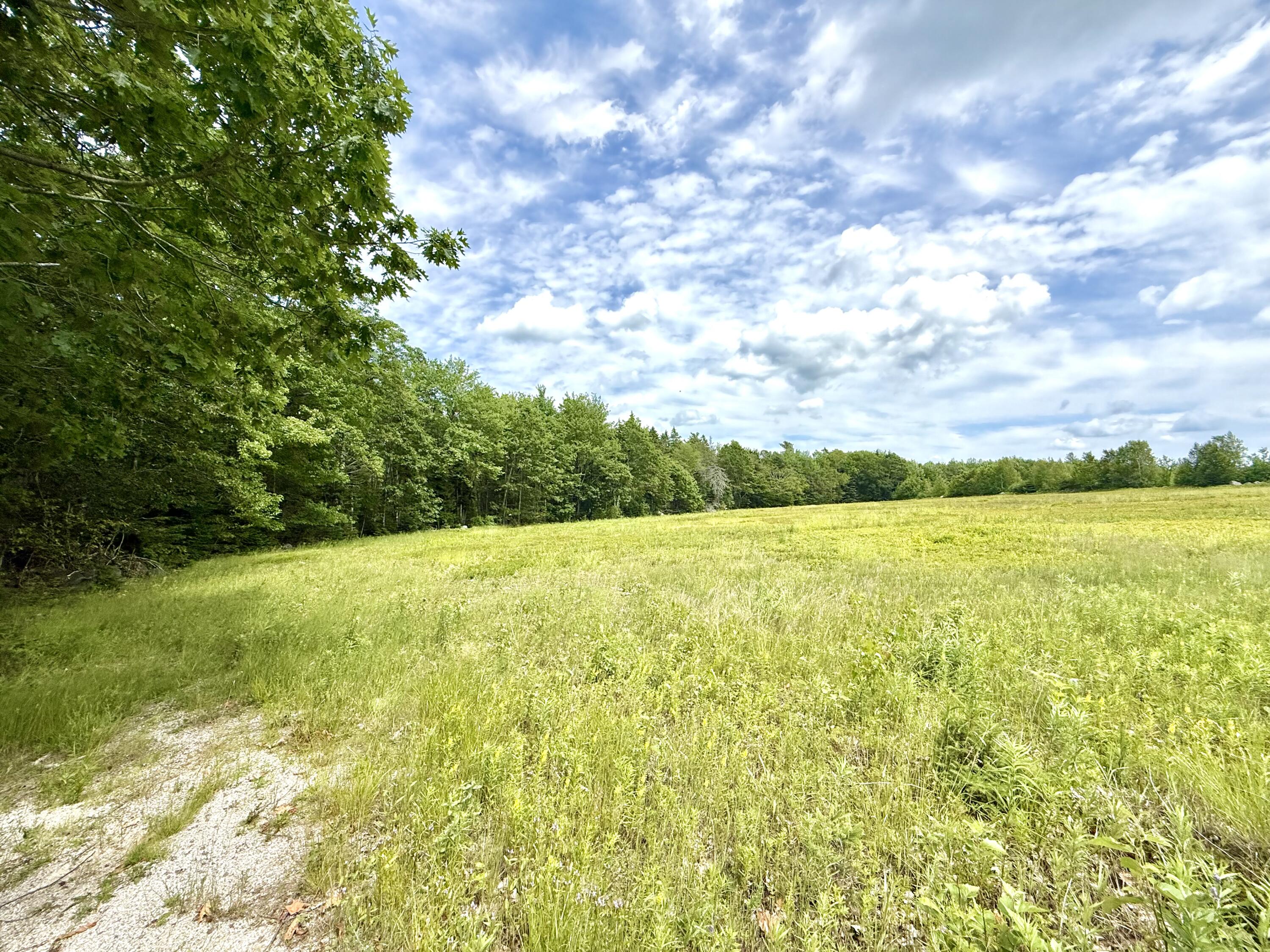Map13-lot4 Martins Ridge Road Franklin, ME 04634 - Photo 6 of 14 Lot 4