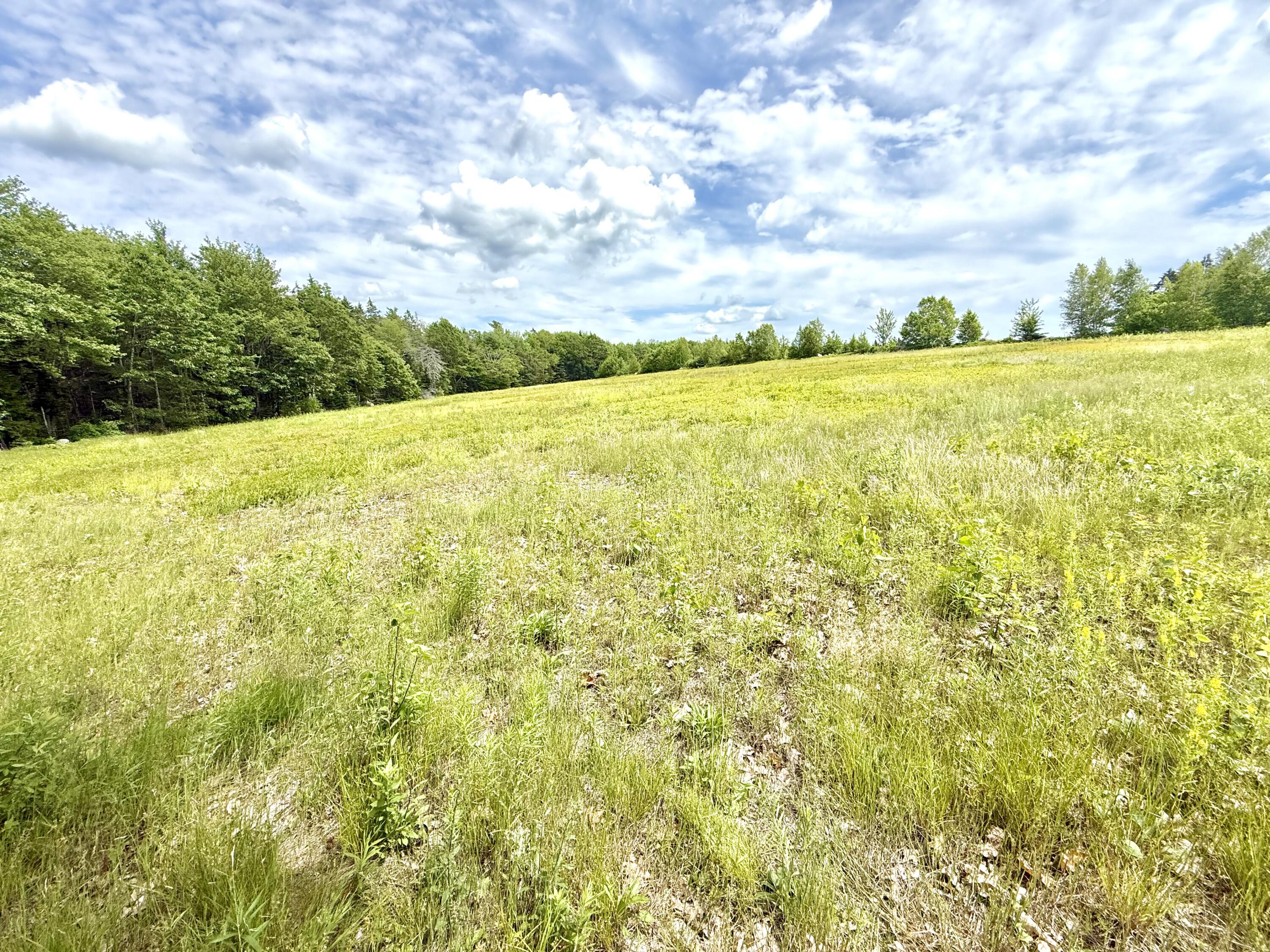 Map13-lot4 Martins Ridge Road Franklin, ME 04634 - Photo 8 of 14 Lot 4