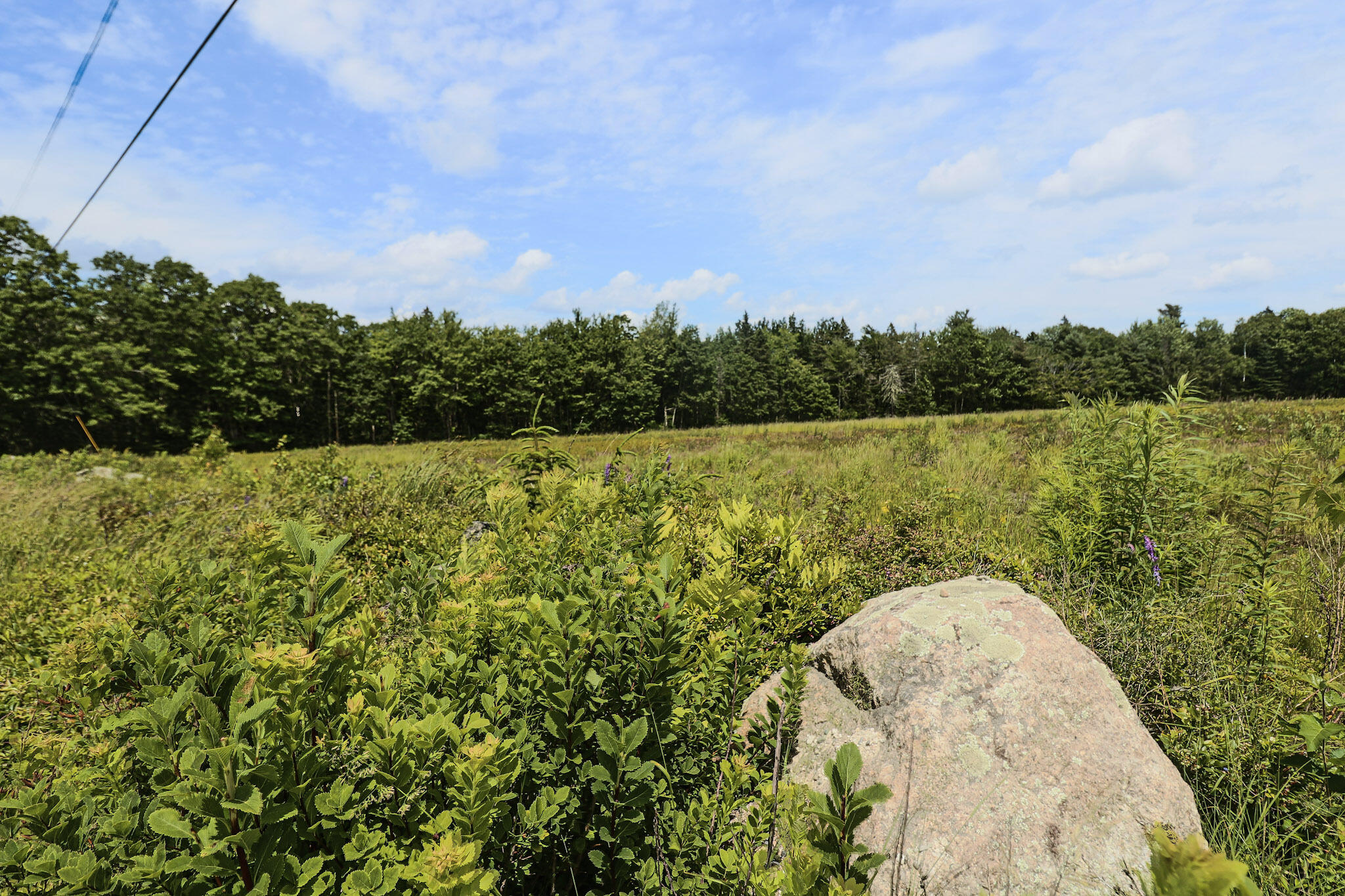 Map13-lot4 Martins Ridge Road Franklin, ME 04634 - Photo 10 of 14 Lot 4