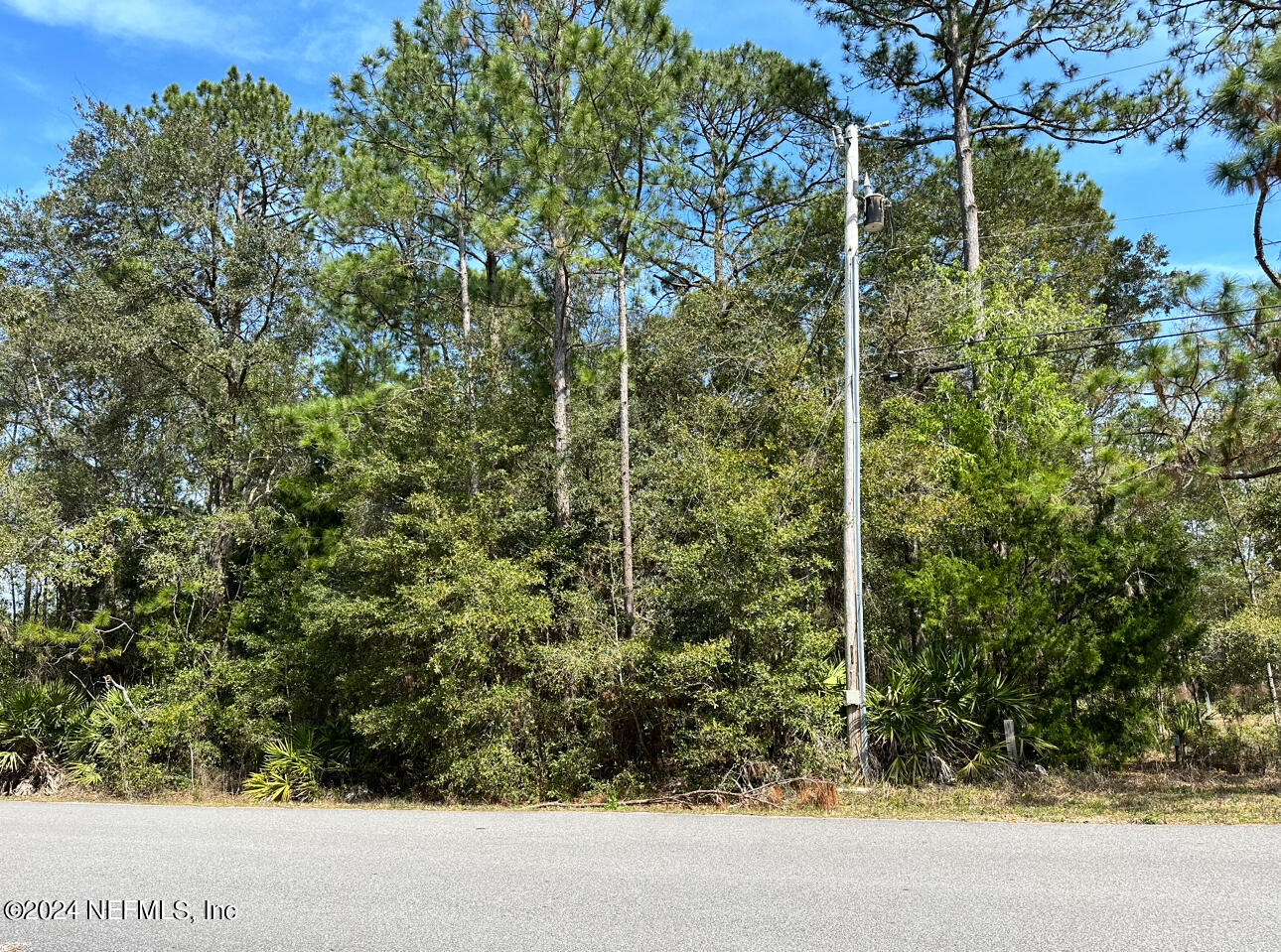 85330 Theresa Road Yulee, FL 32097 - Photo 1 of 1 IMG_E3CA8C4C6BE4-1