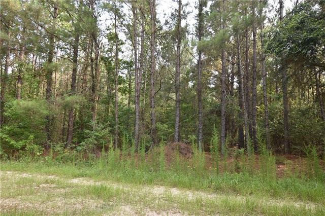 0 Lovern Road Pearl River, LA 70452 - Photo 1 of 2