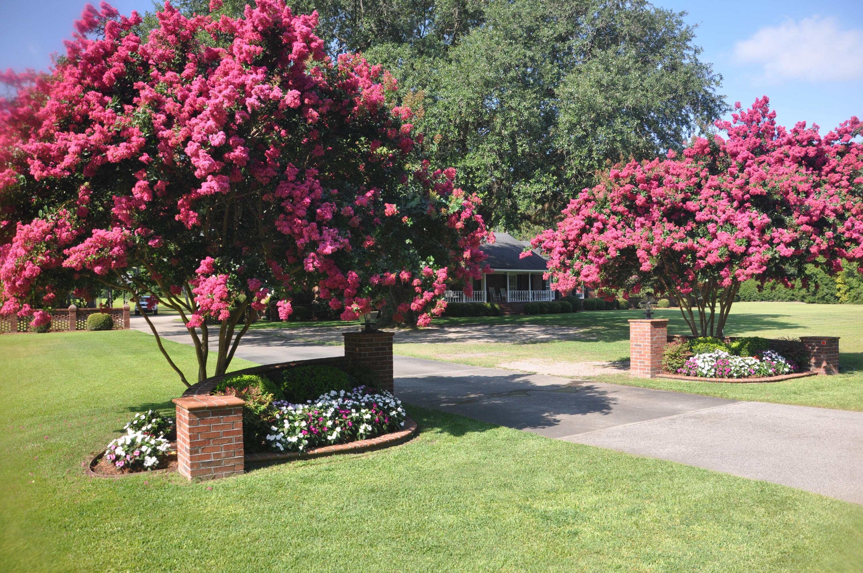 2899 Wire Road St. George, SC 29477 - Photo 3 of 69 The curb appeal is unforgettable!