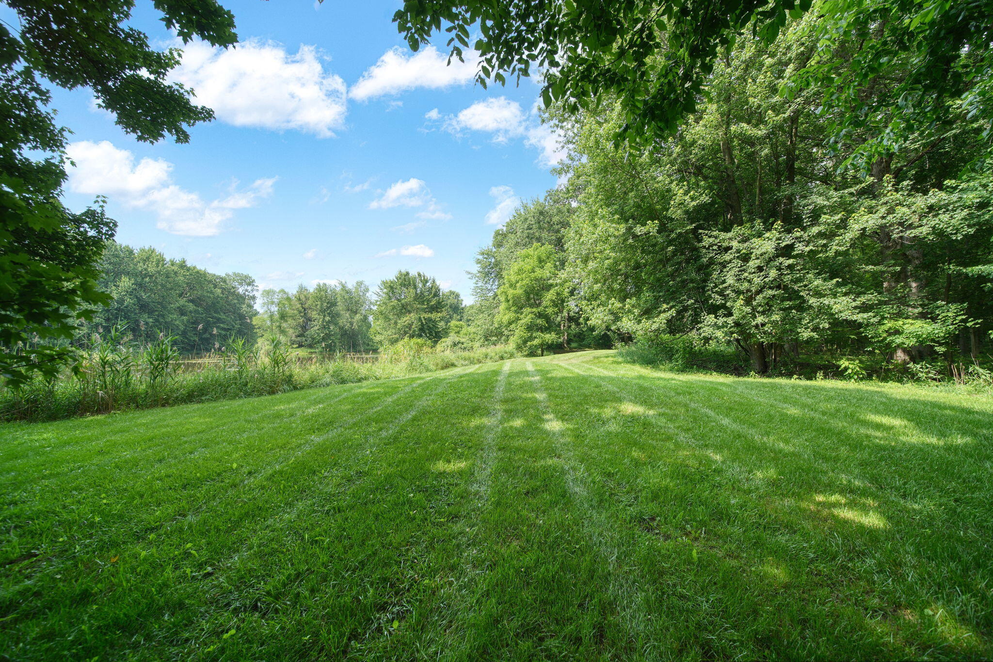 8395 Dalton Road Onsted, MI 49265 - Photo 50 of 67 69-web-or-mls-DSC03034_HDR
