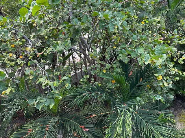 $4,700 | 55 Ocean Ln Drive, Unit 4020, Key Biscayne, FL 33149