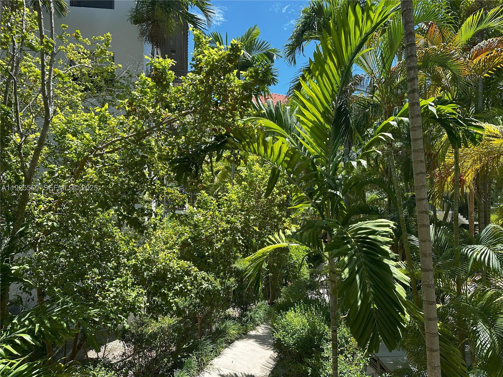 55 Ocean Ln Drive, Unit 4020 Key Biscayne, FL 33149 - Photo 57 of 57 a backyard of a house with lots of green space