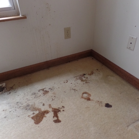 4243 West Blue Grass Road Mount Pleasant, MI 48858 - Photo 13 of 17 1808684-12.JPG