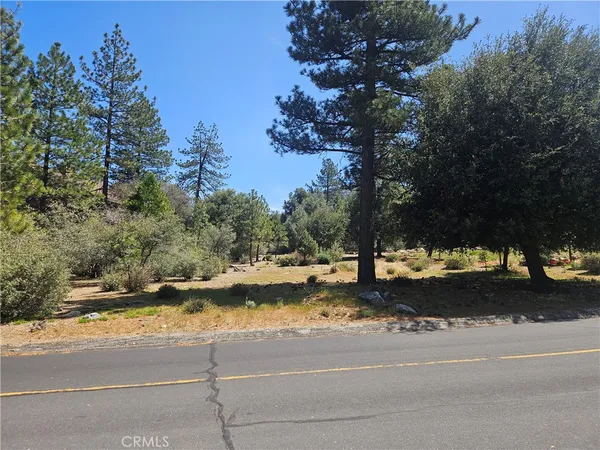 $75,000 | 16210 Askin Drive, Pine Mountain Club, CA 93222