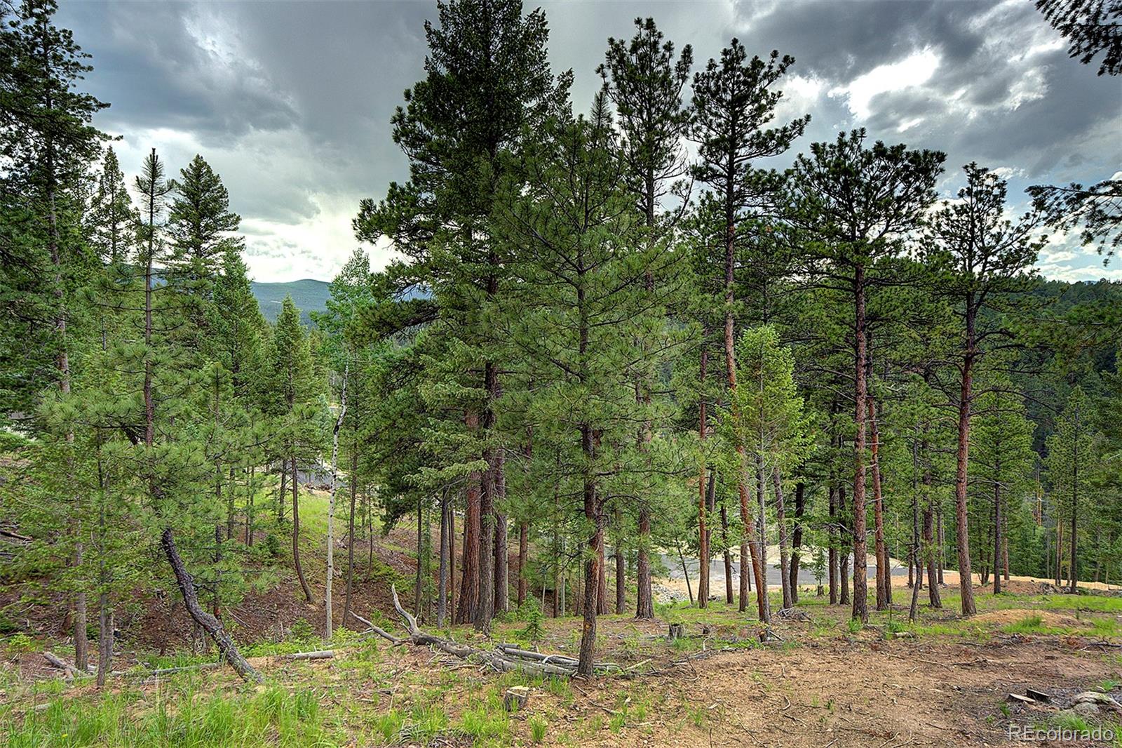 6874 Lynx Lair Road Evergreen, CO 80439 - Photo 2 of 15 a view of a forest with trees