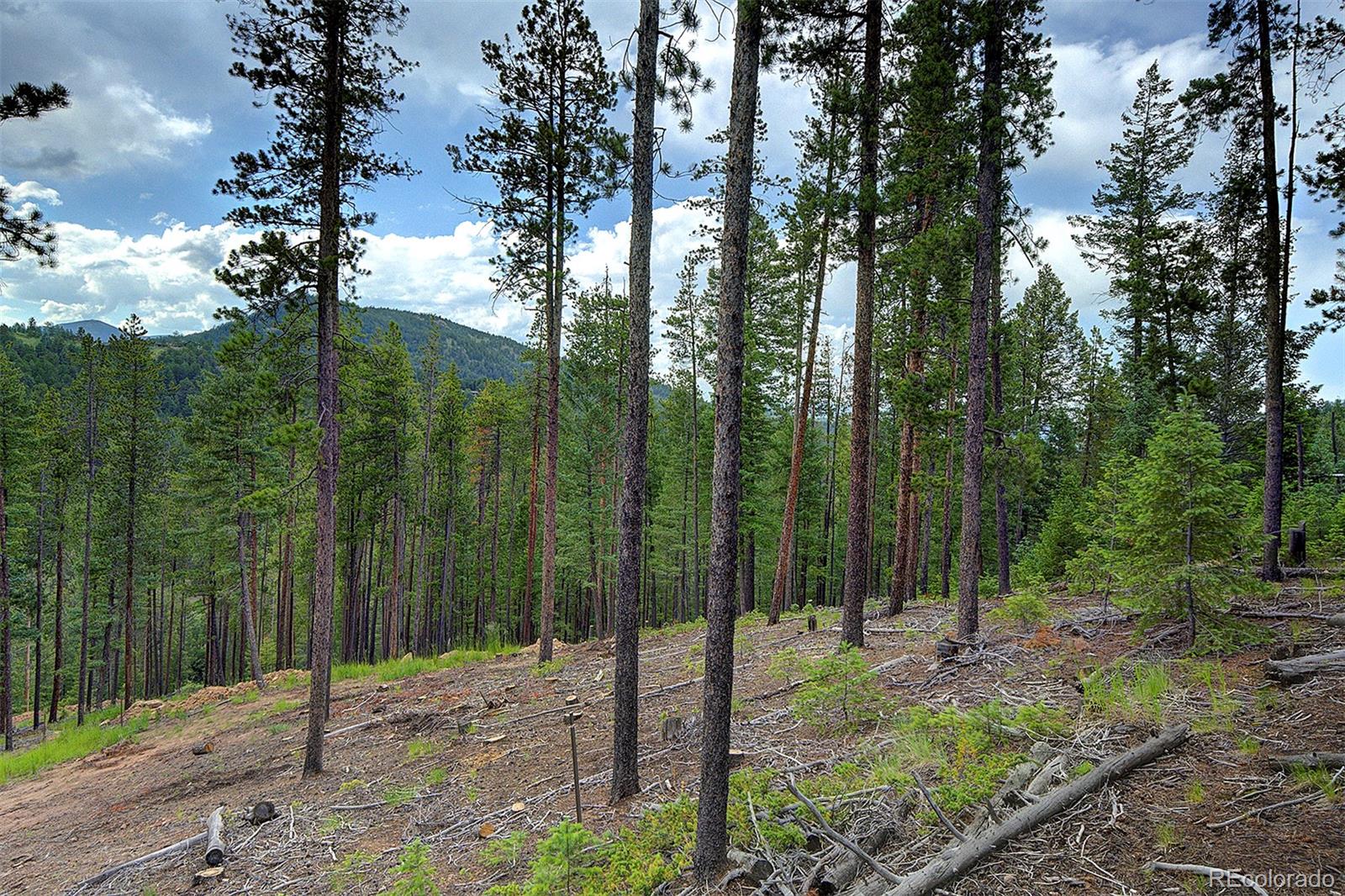 6874 Lynx Lair Road Evergreen, CO 80439 - Photo 4 of 15 a view of a backyard