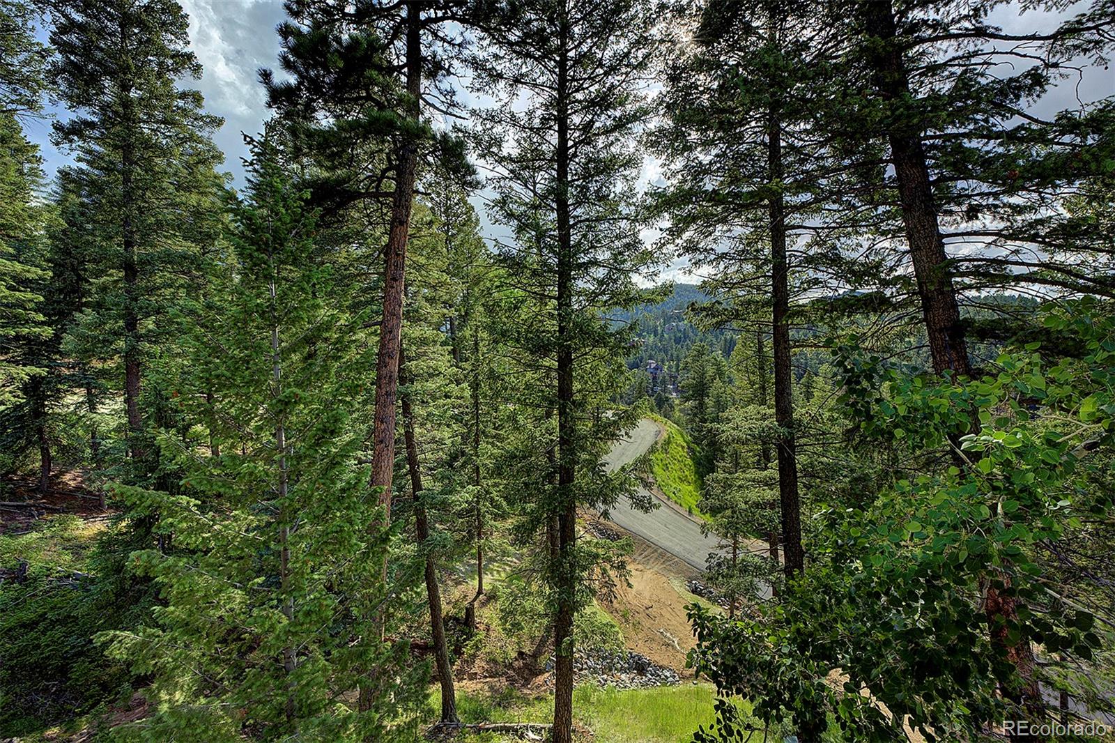 6874 Lynx Lair Road Evergreen, CO 80439 - Photo 9 of 15 a view of forest