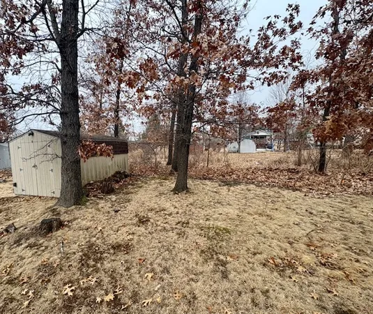 a view of a yard with large tree