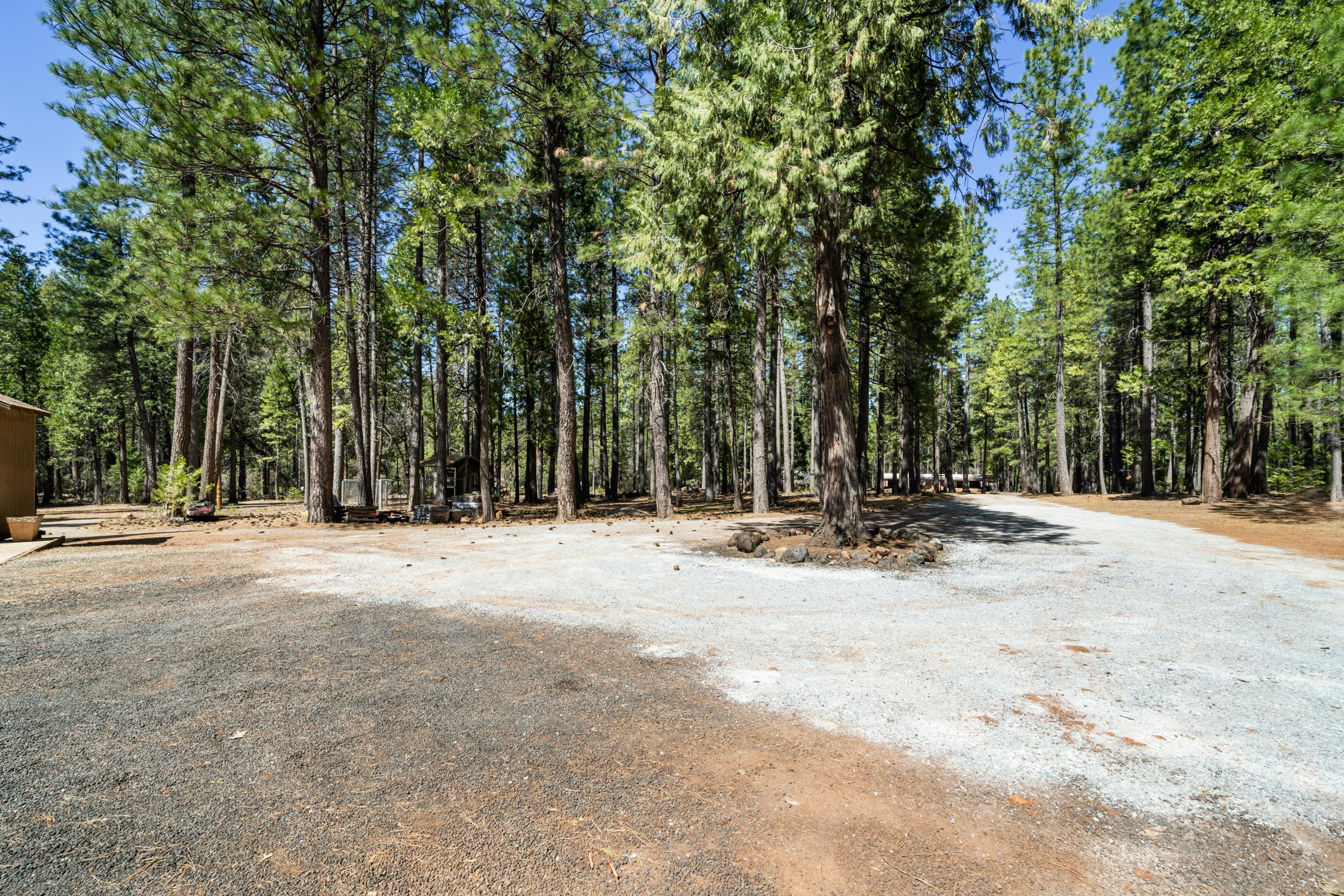 29893 Westmoore Road Shingletown, CA 96088 - Photo 26 of 30 HARRISONM-25