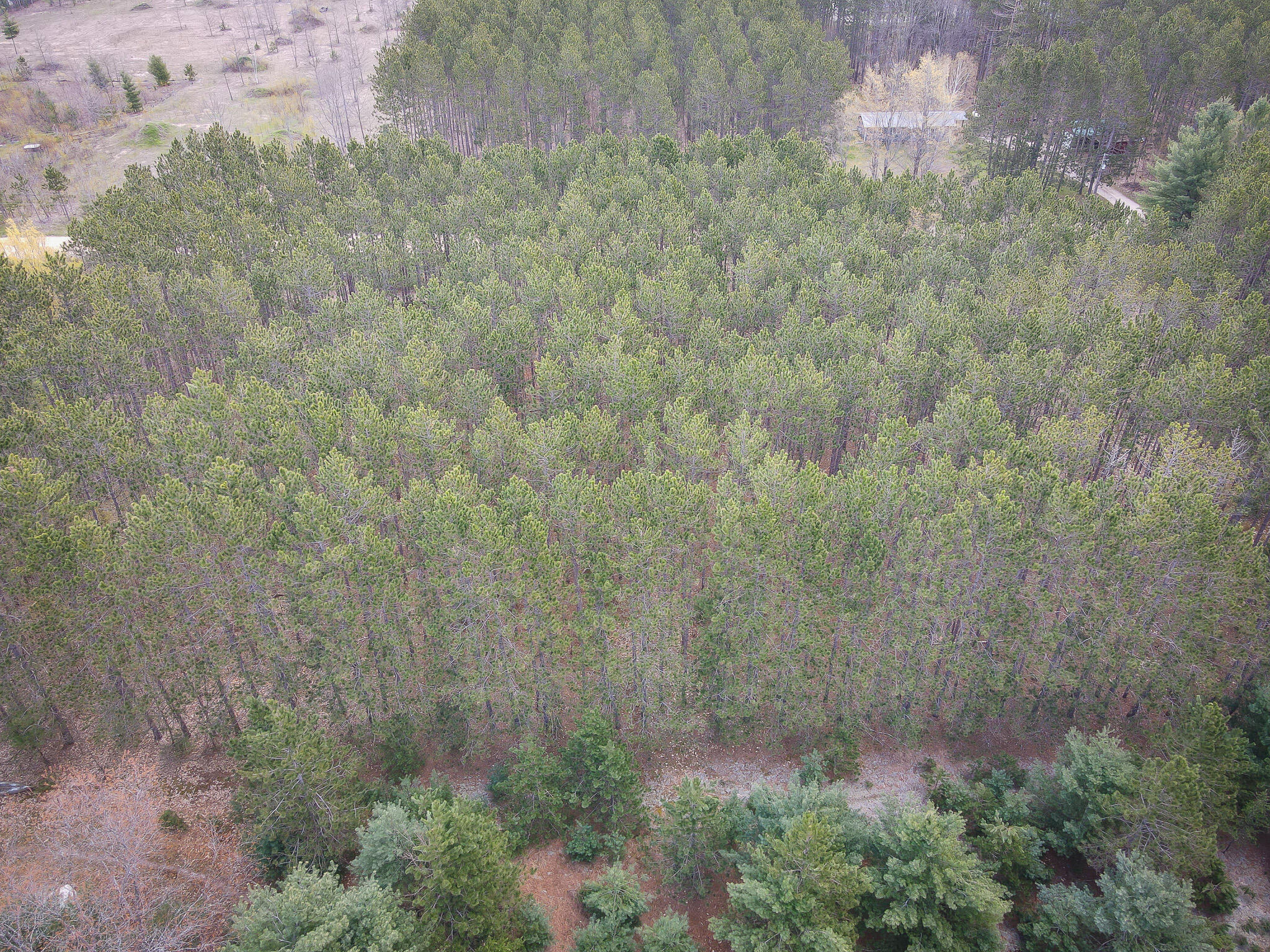 V/l Hudson Road Southwest South Boardman, MI 49680 - Photo 10 of 34 DJI_0070