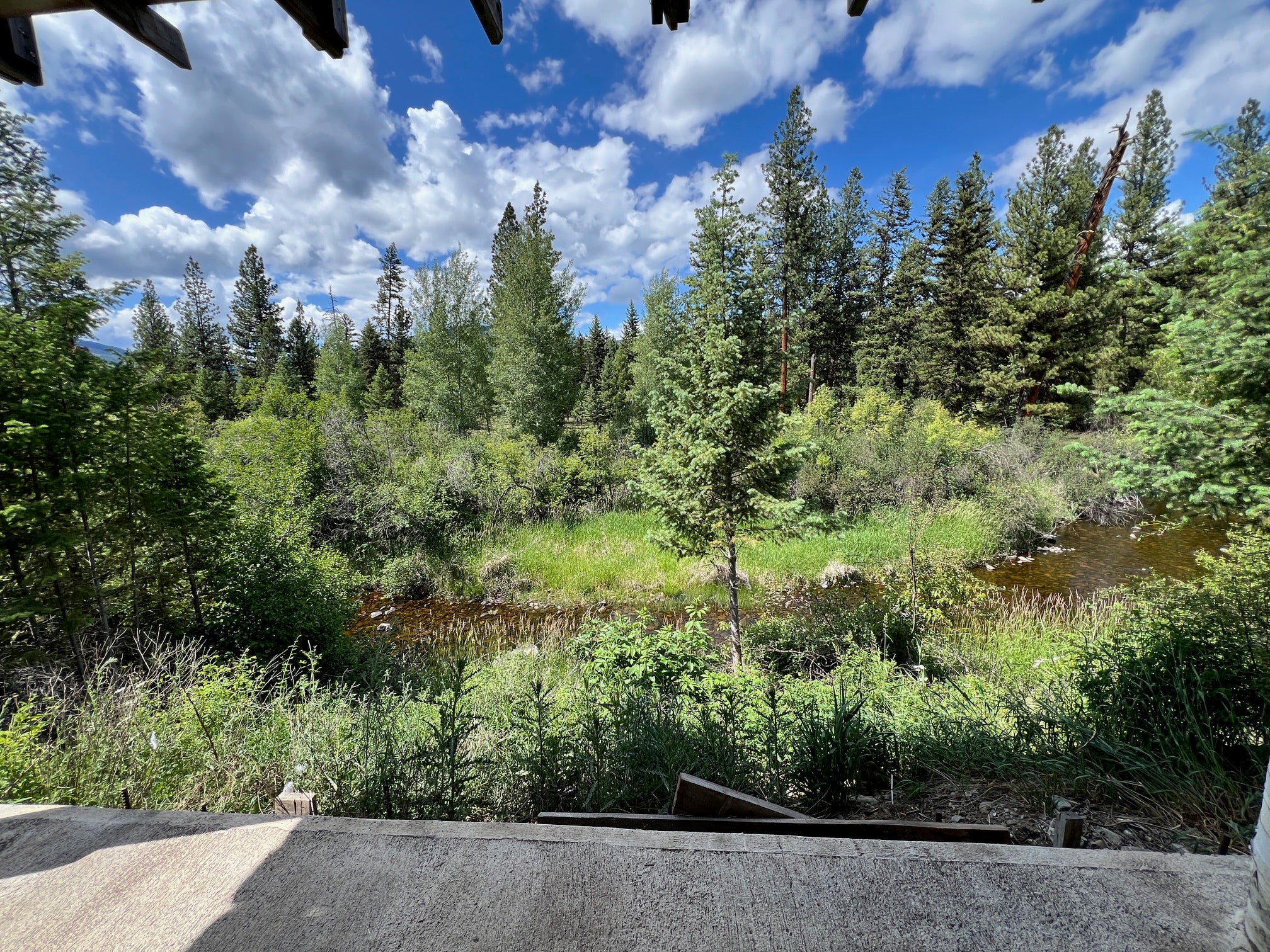 1500 Elk Crk Road Libby, MT 59923 - Photo 20 of 56 Gallery Image 20
