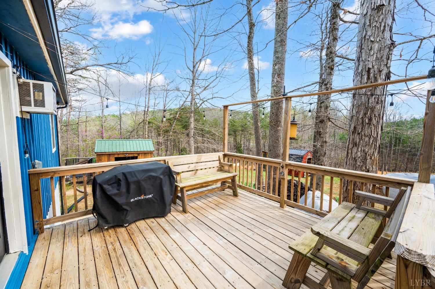 2309 Mount Pleasant Road Pamplin, VA 23958 - Photo 39 of 68